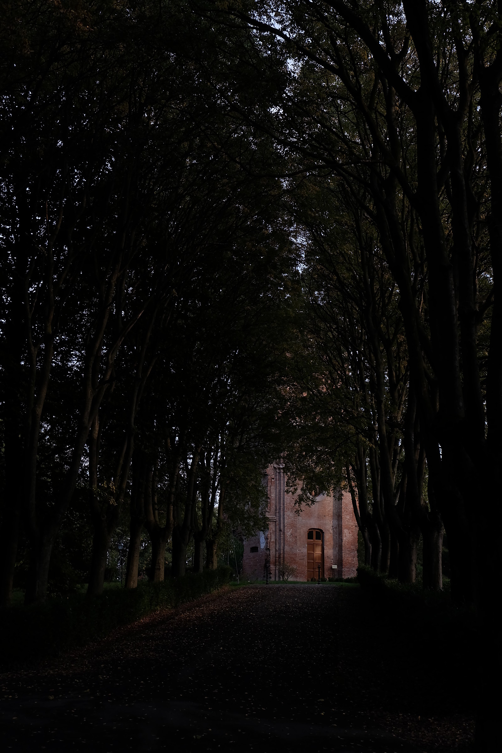 Among the trees on the bottom the Tower