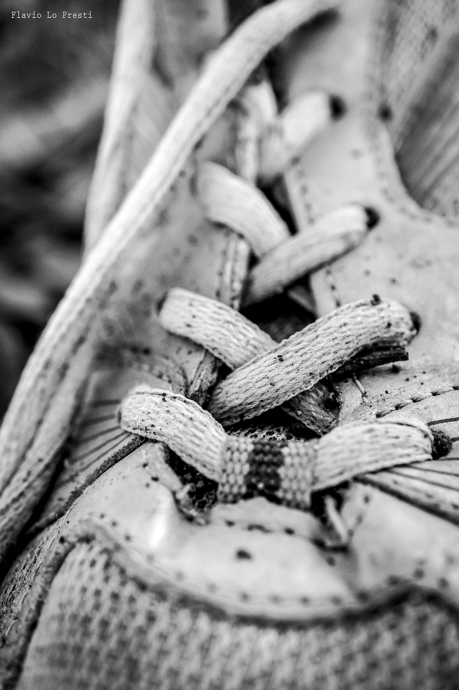 Prova canon 28 ef-m macro