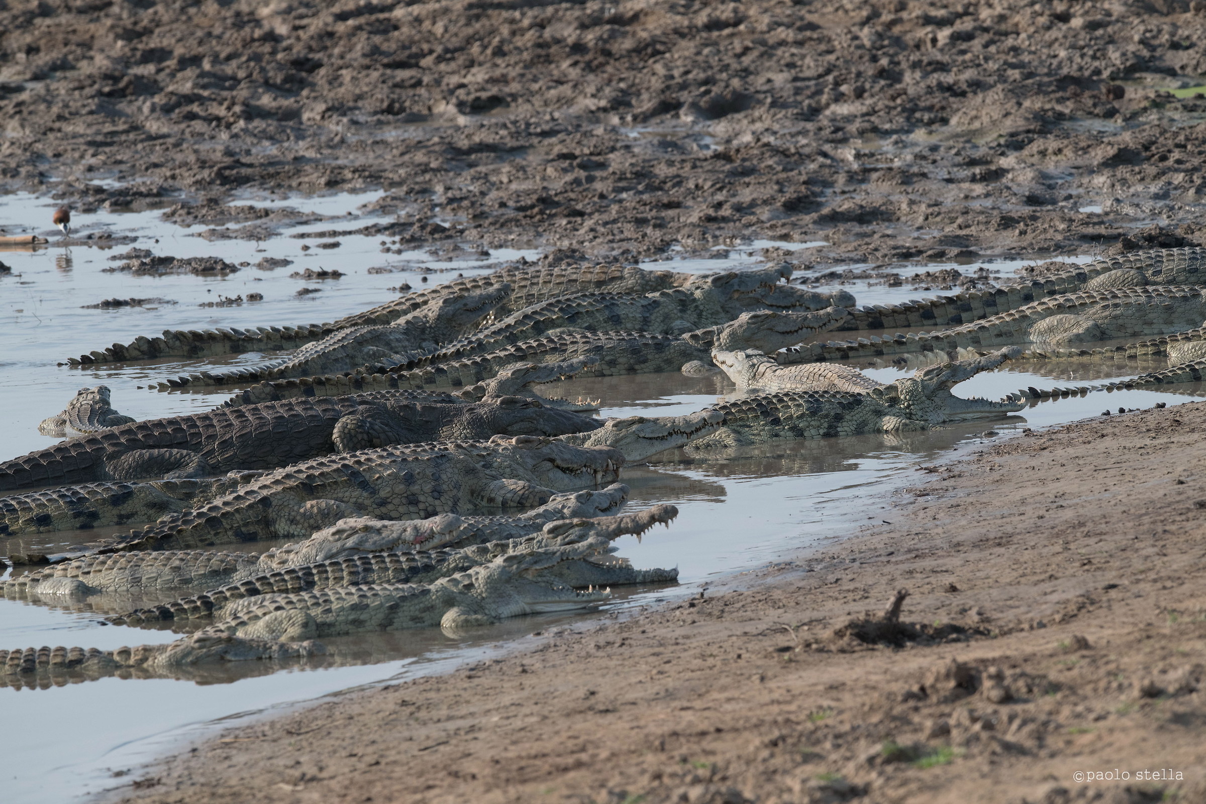 anche noi abbiamo fame...