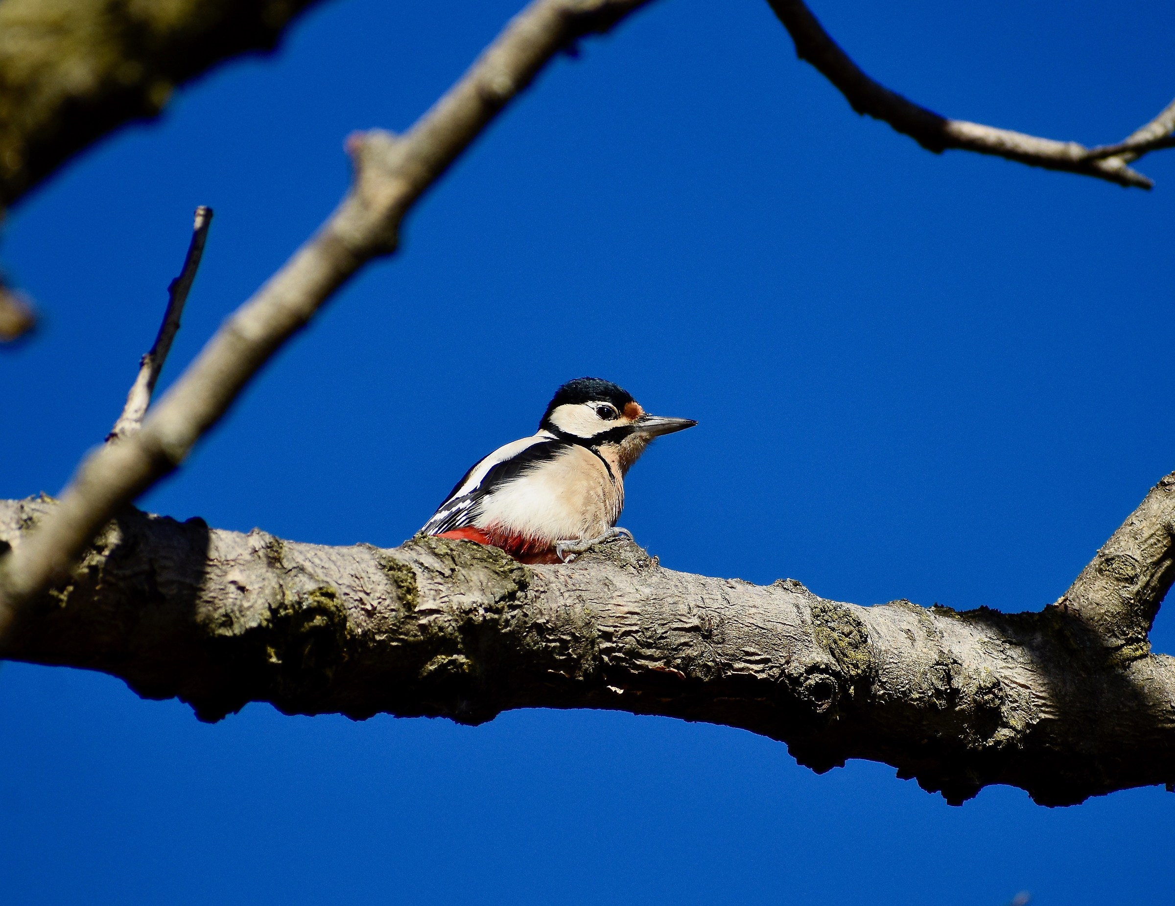ancora lui .... 70-300mm f/4.5-6.3G VR