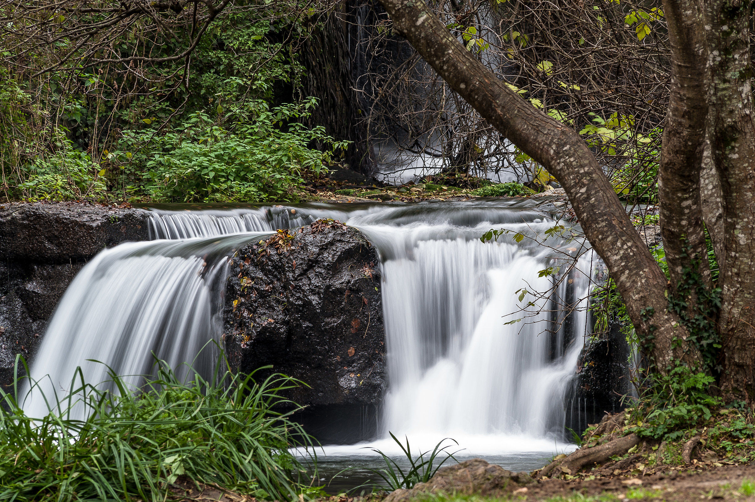 Vejo Park-Waterfall Treja River (2nd jump)