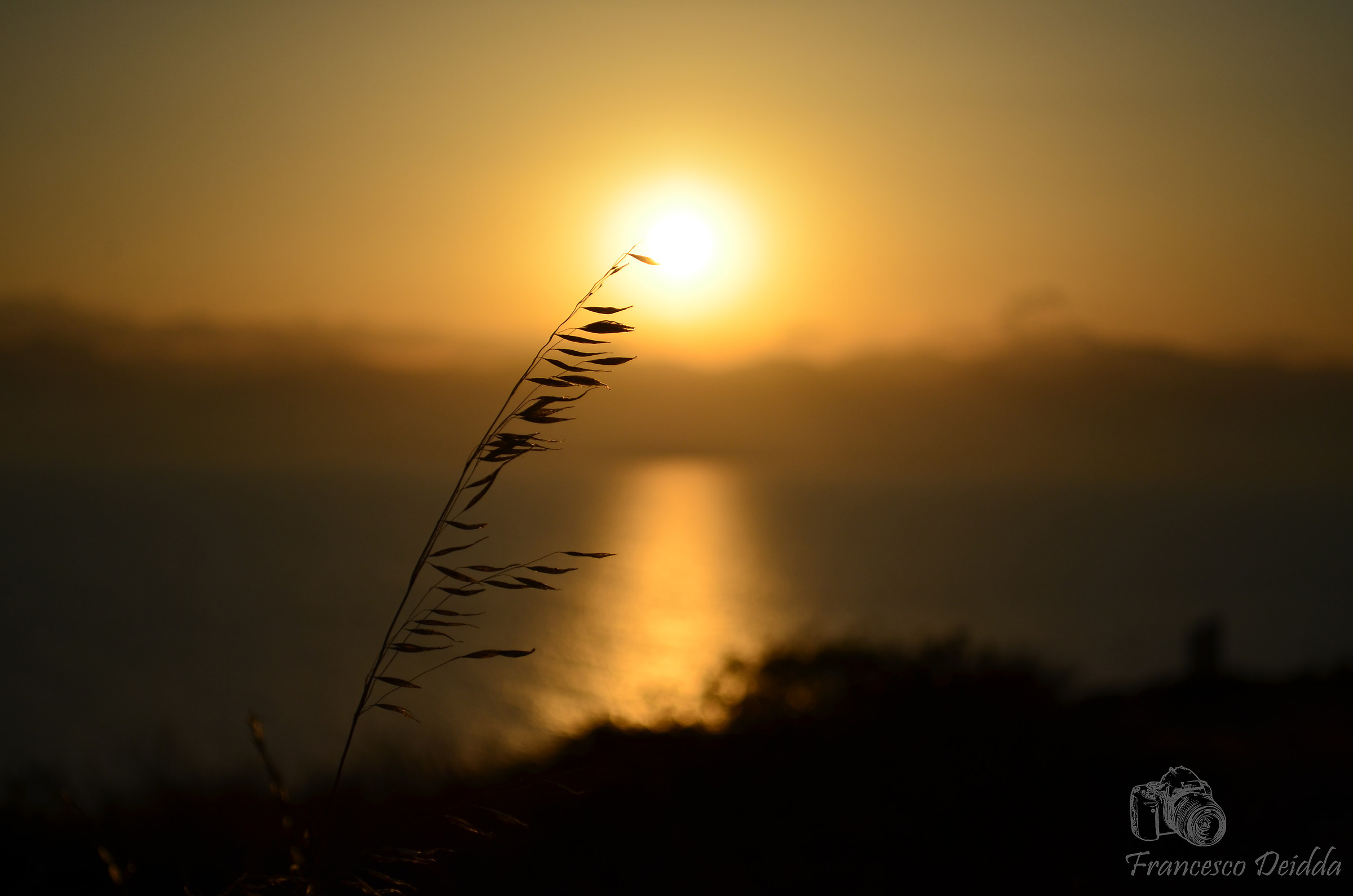 Il bello dell'ordinario