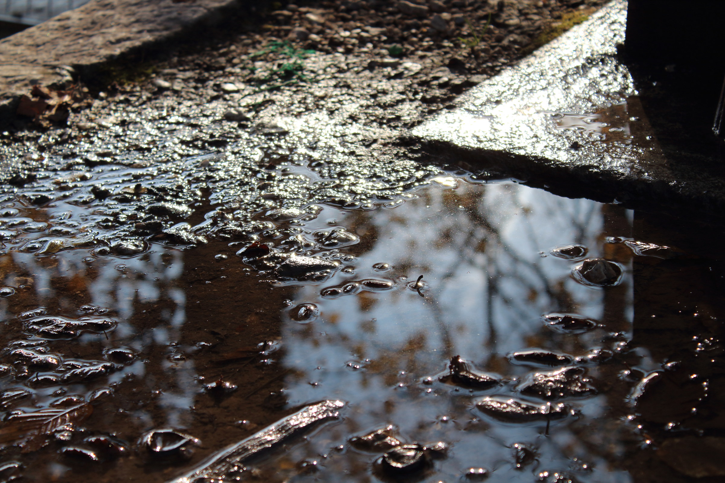 Da bambini scorgevamo un lago dentro una pozzanghera