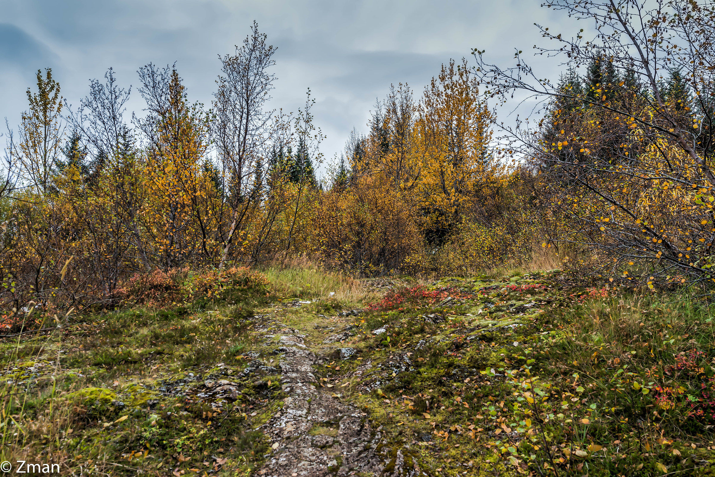 The Crack in Thingvellir