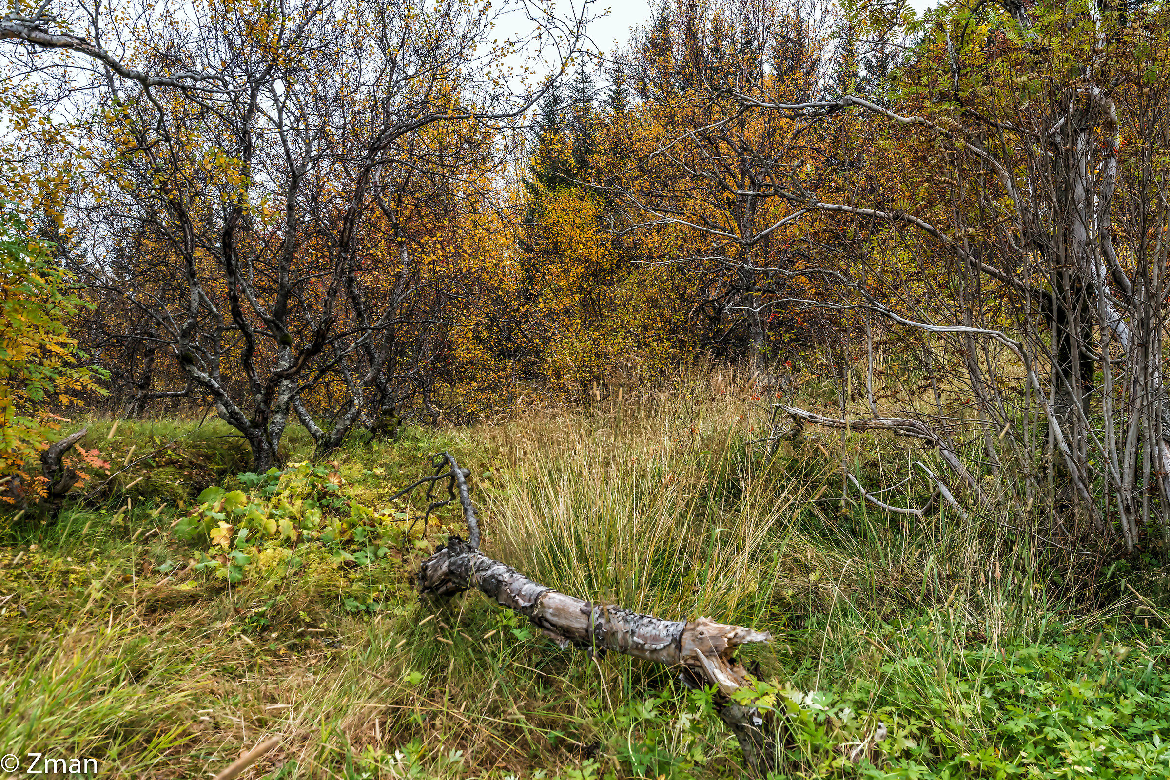 The Crack in Thingvellir