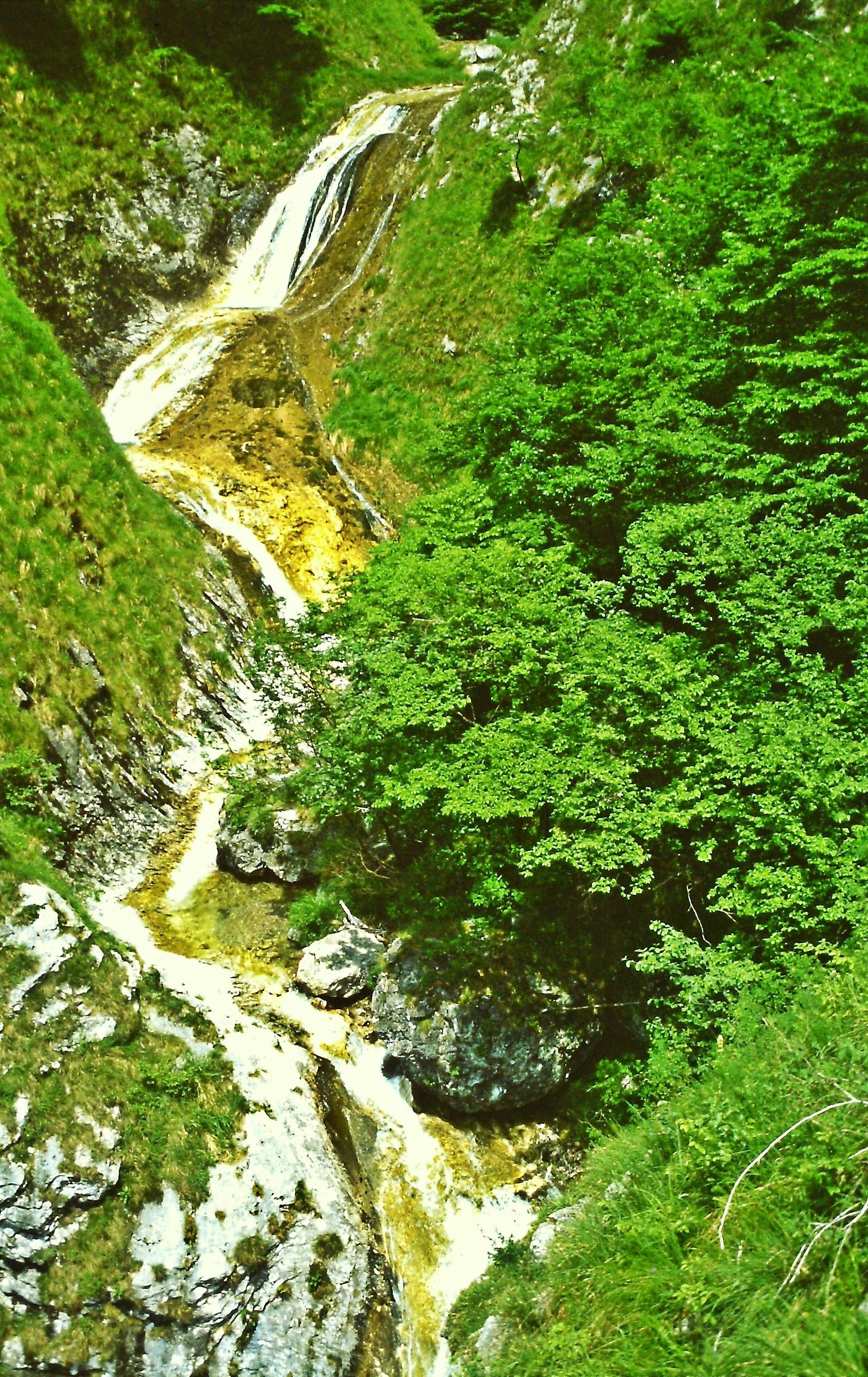 828 . beata solitudo sola beatitudo