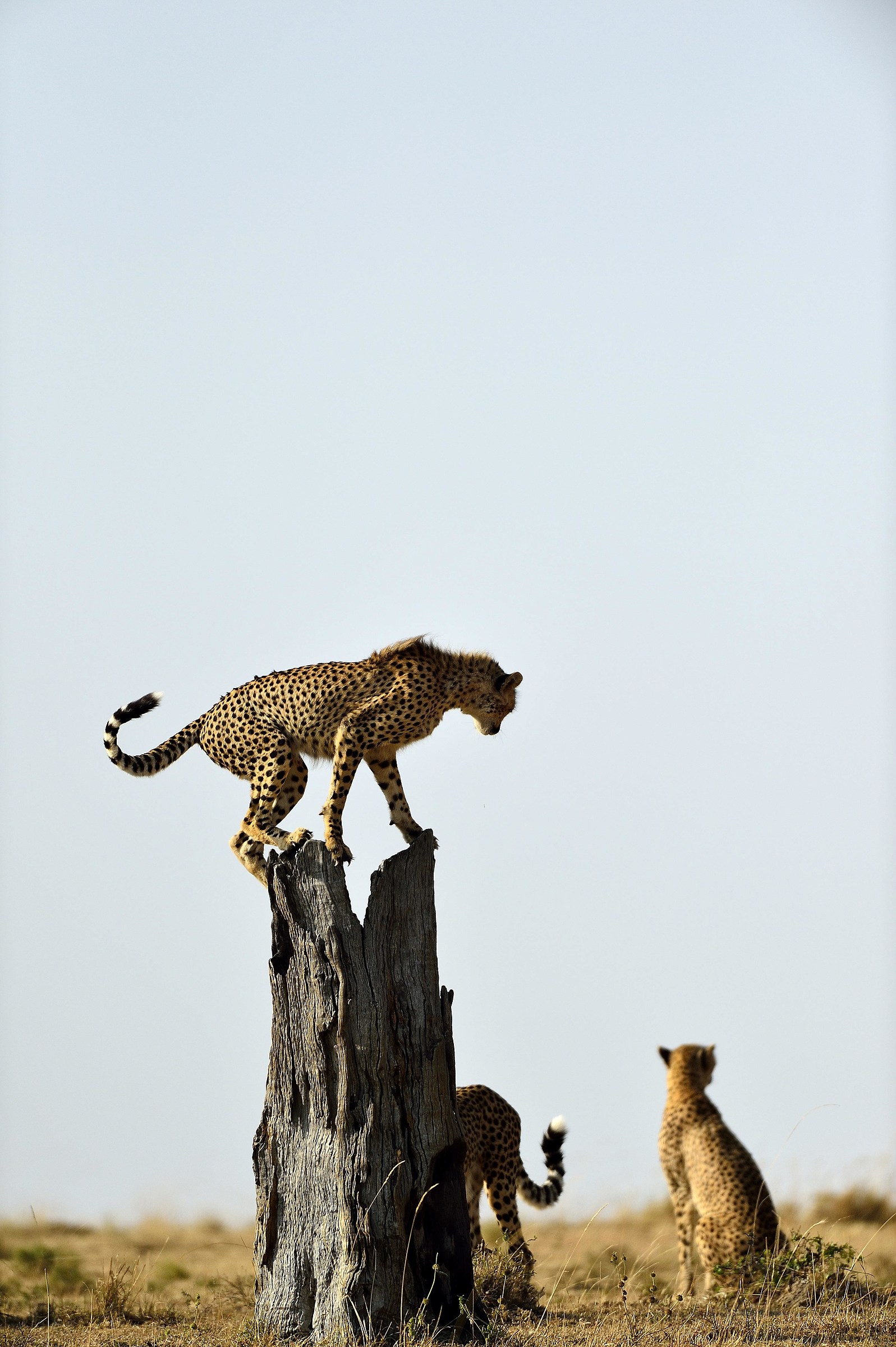 Keia 14: precariousness