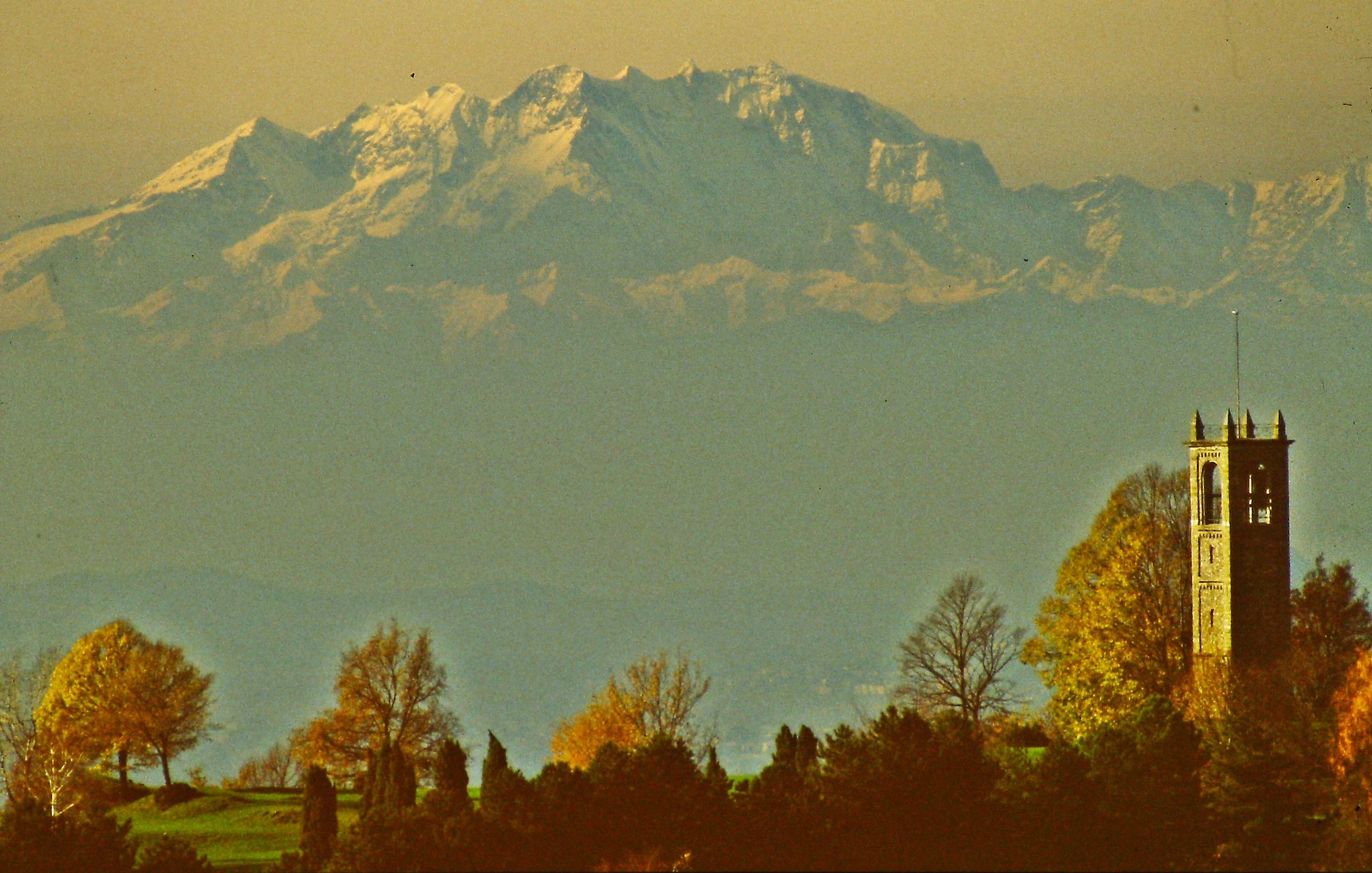 834 -il selvaggio ed il romantico