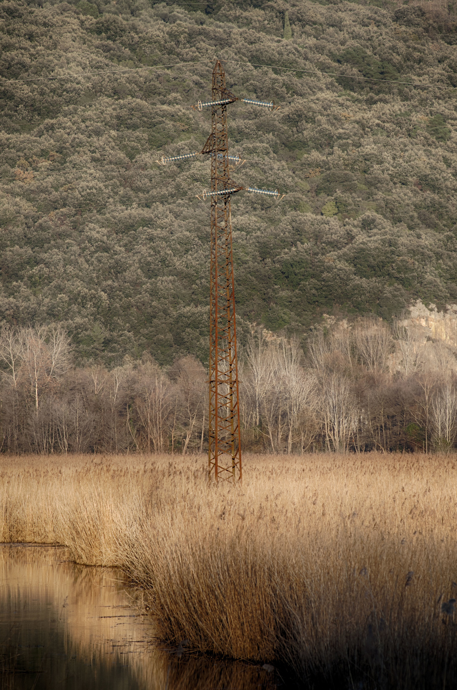 Lake of Porta-Montignoso Massa Carrara