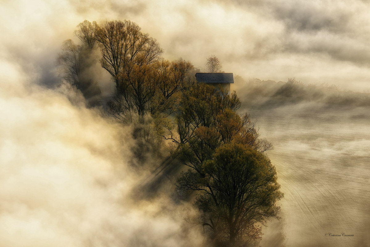 La strada nel bosco.