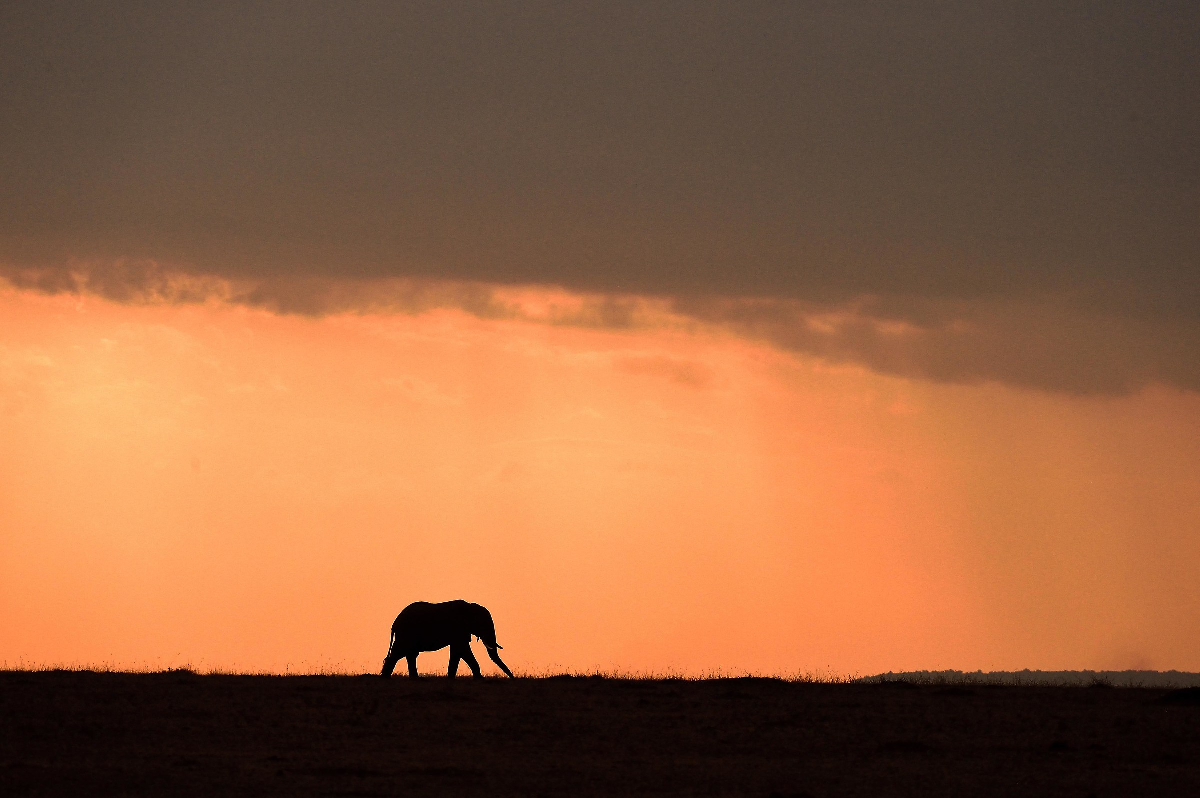 Kenya 2016: loneliness