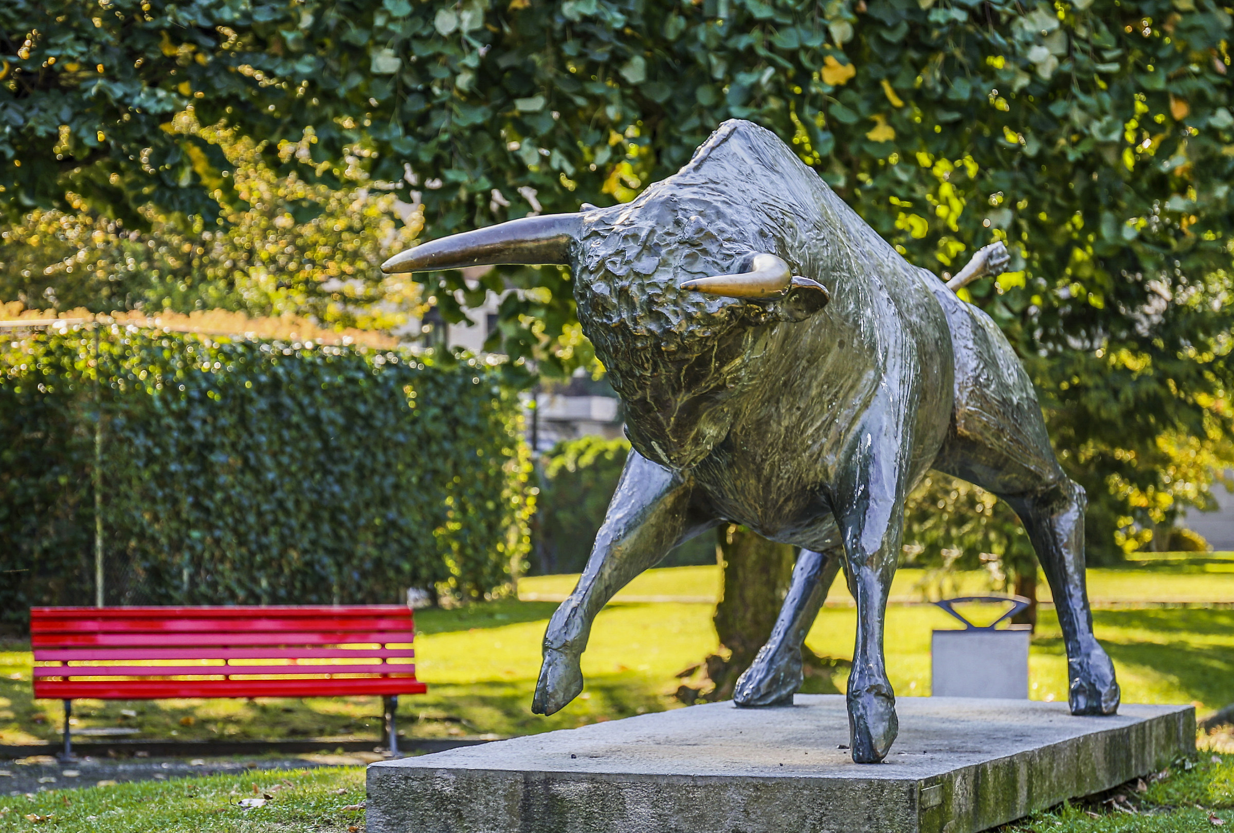 When I see red I become a bull