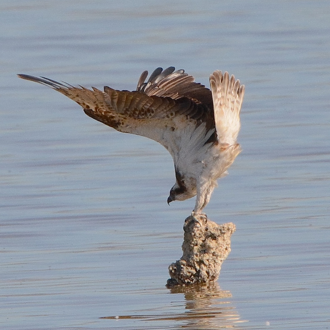 Fisherman's Stretching