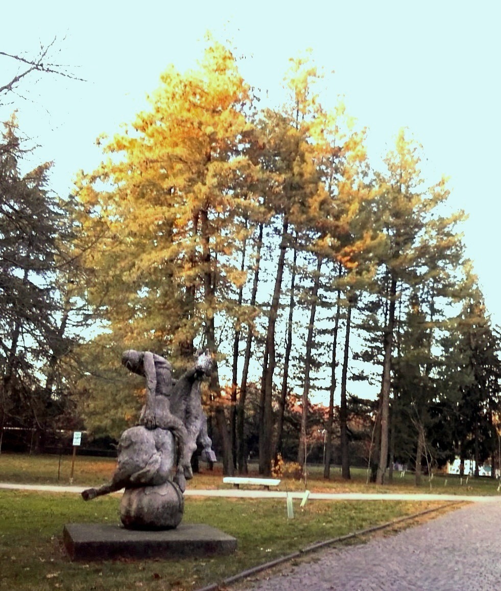 Parcho Castle wood MI