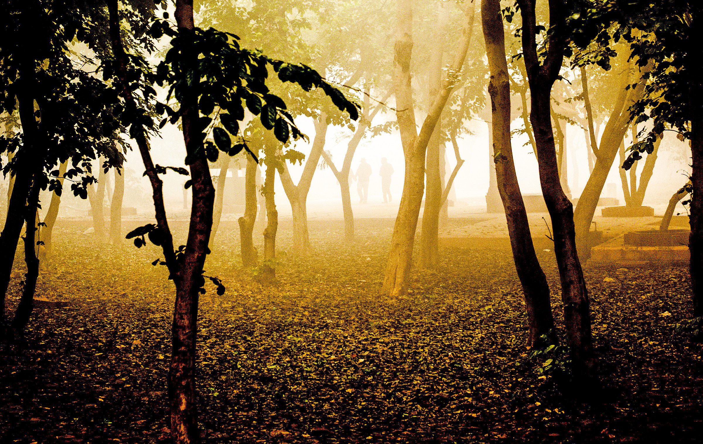 "The dark side of man ......"