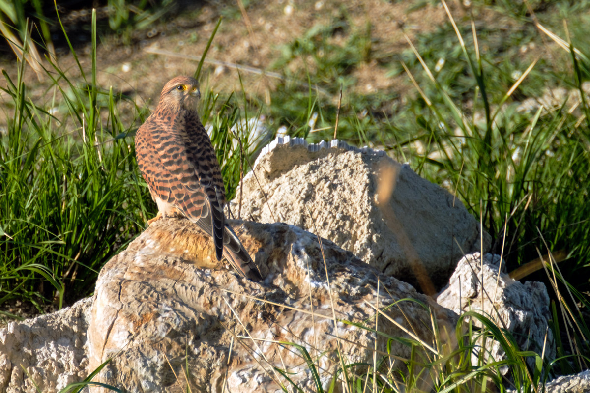 Even keeping your breath ...