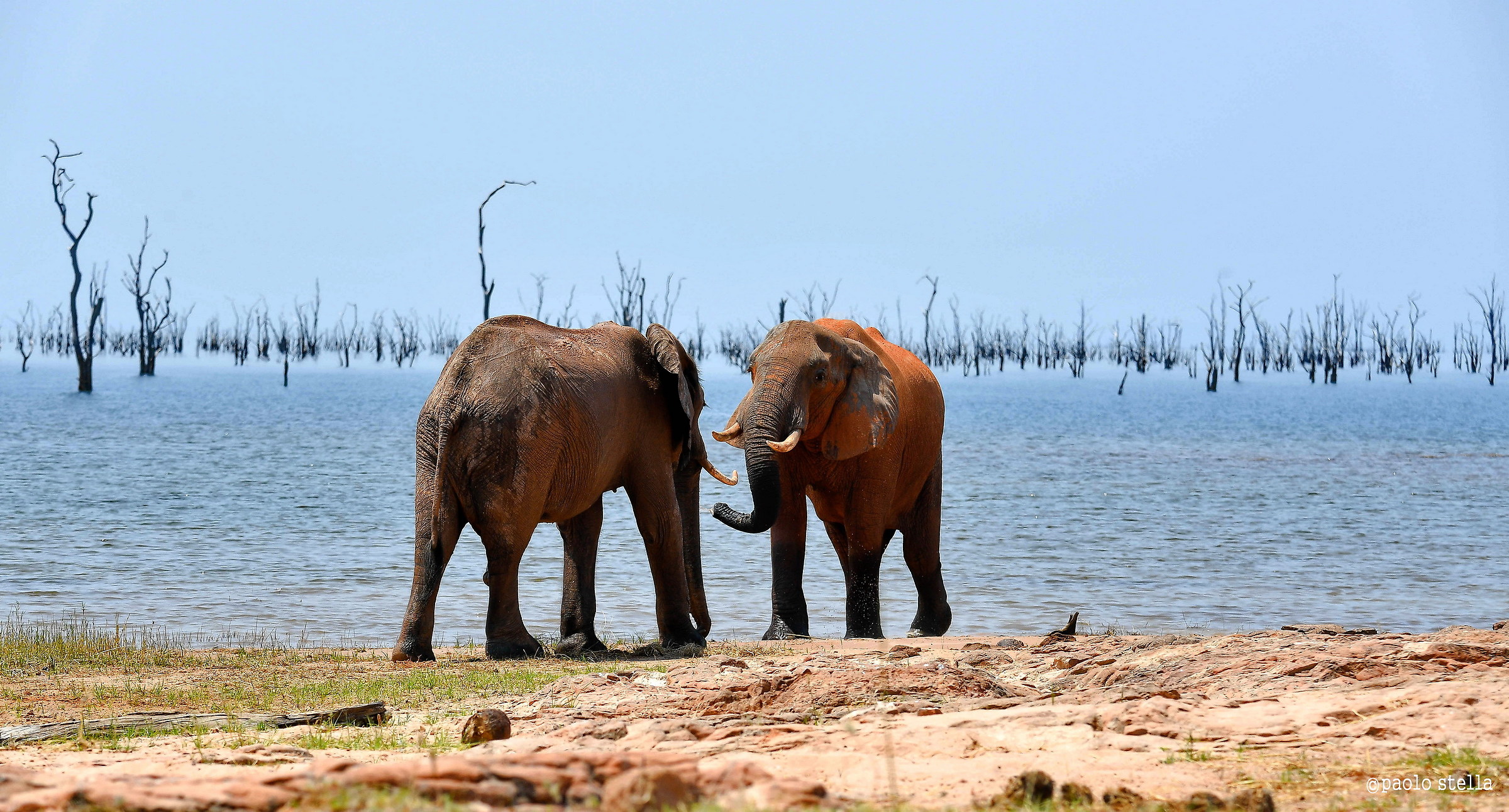 meeting on the beach