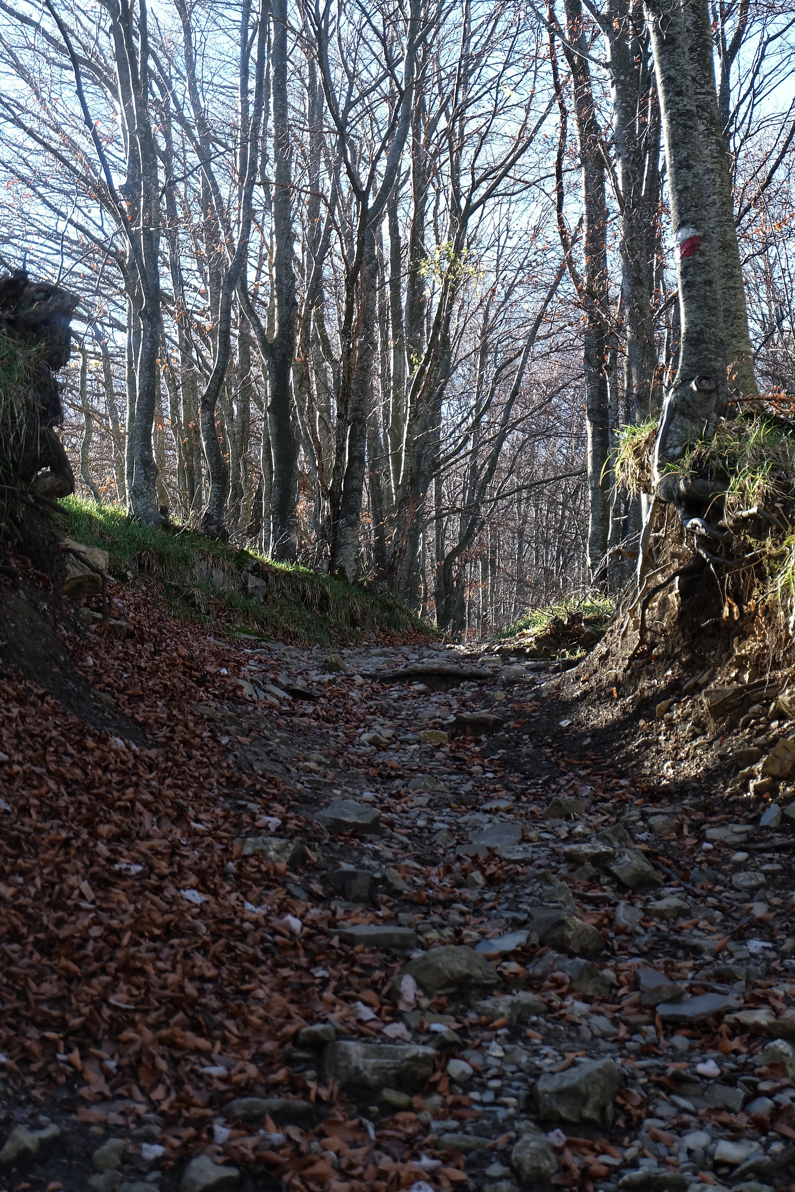 Oh oh oh .... here is salt !!!