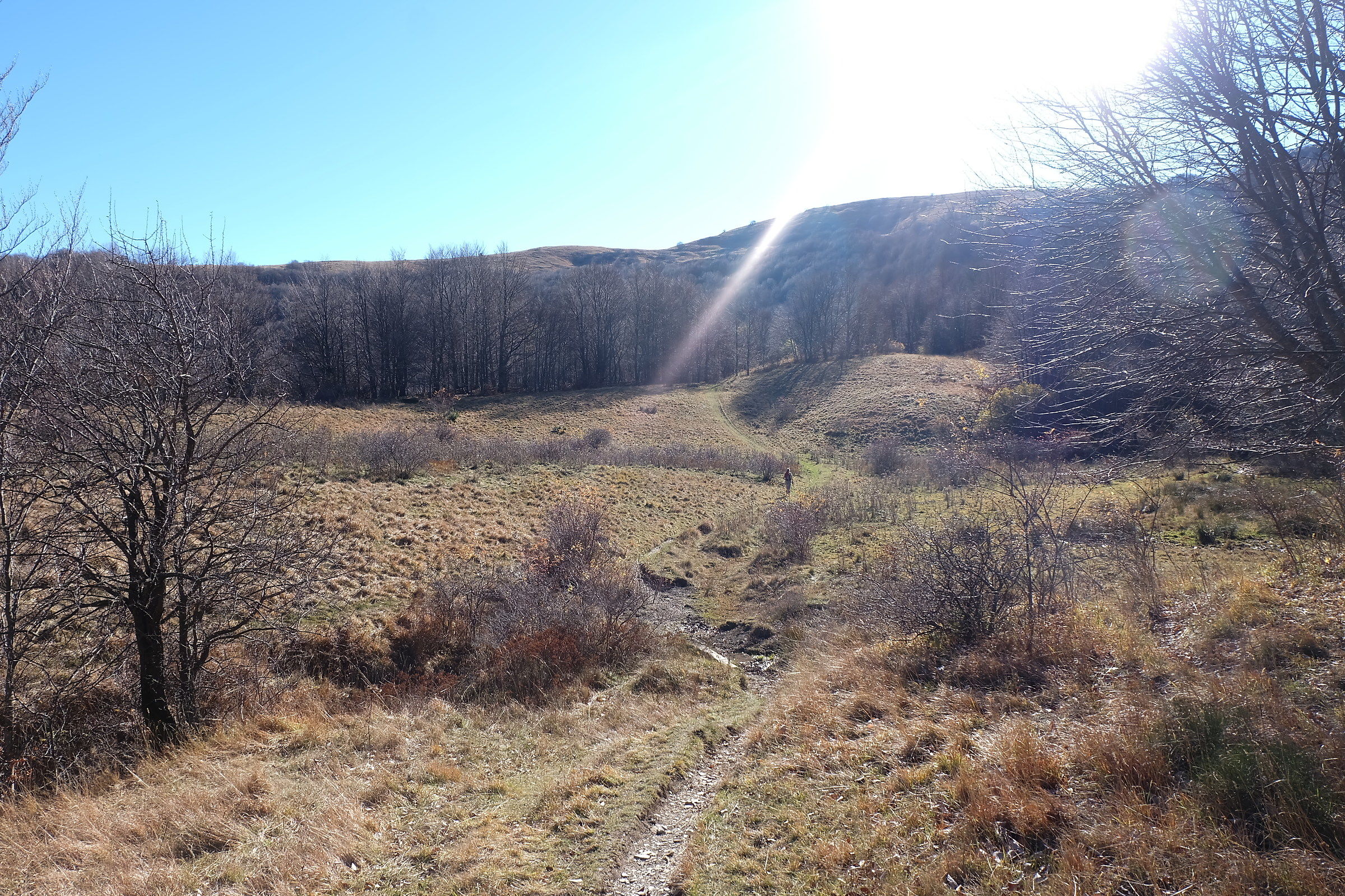 In the valley ... we are almost ...