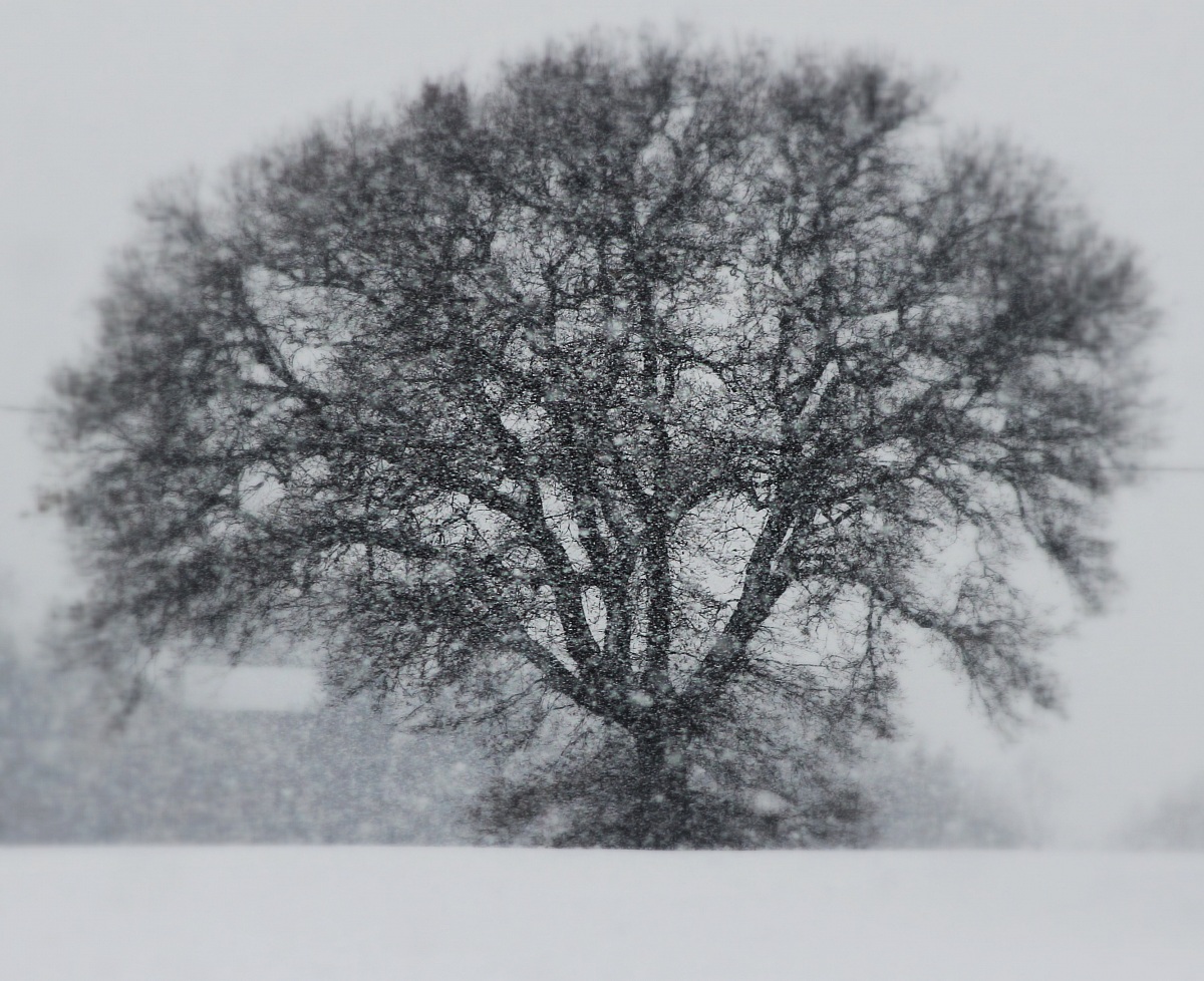 View from the window