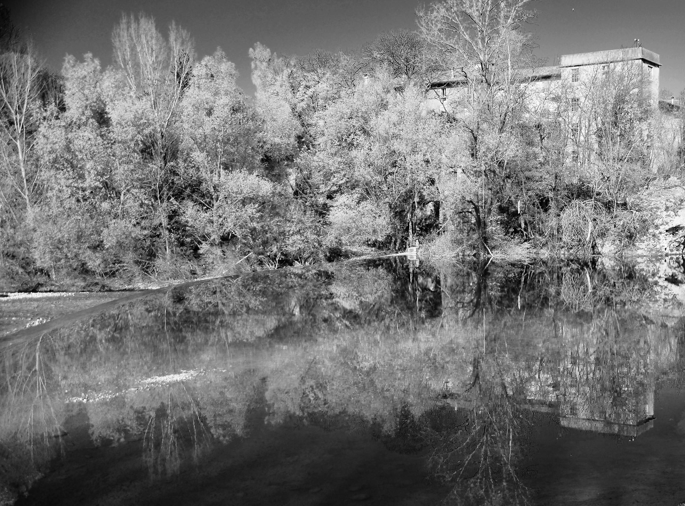 riflesso in black and white