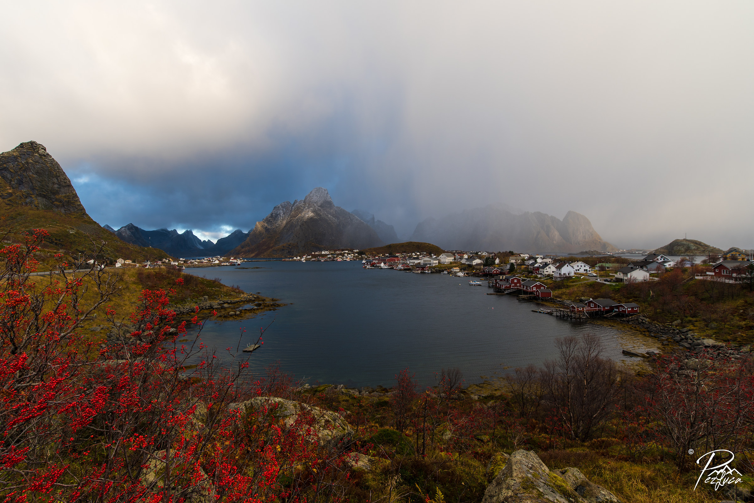 Reine