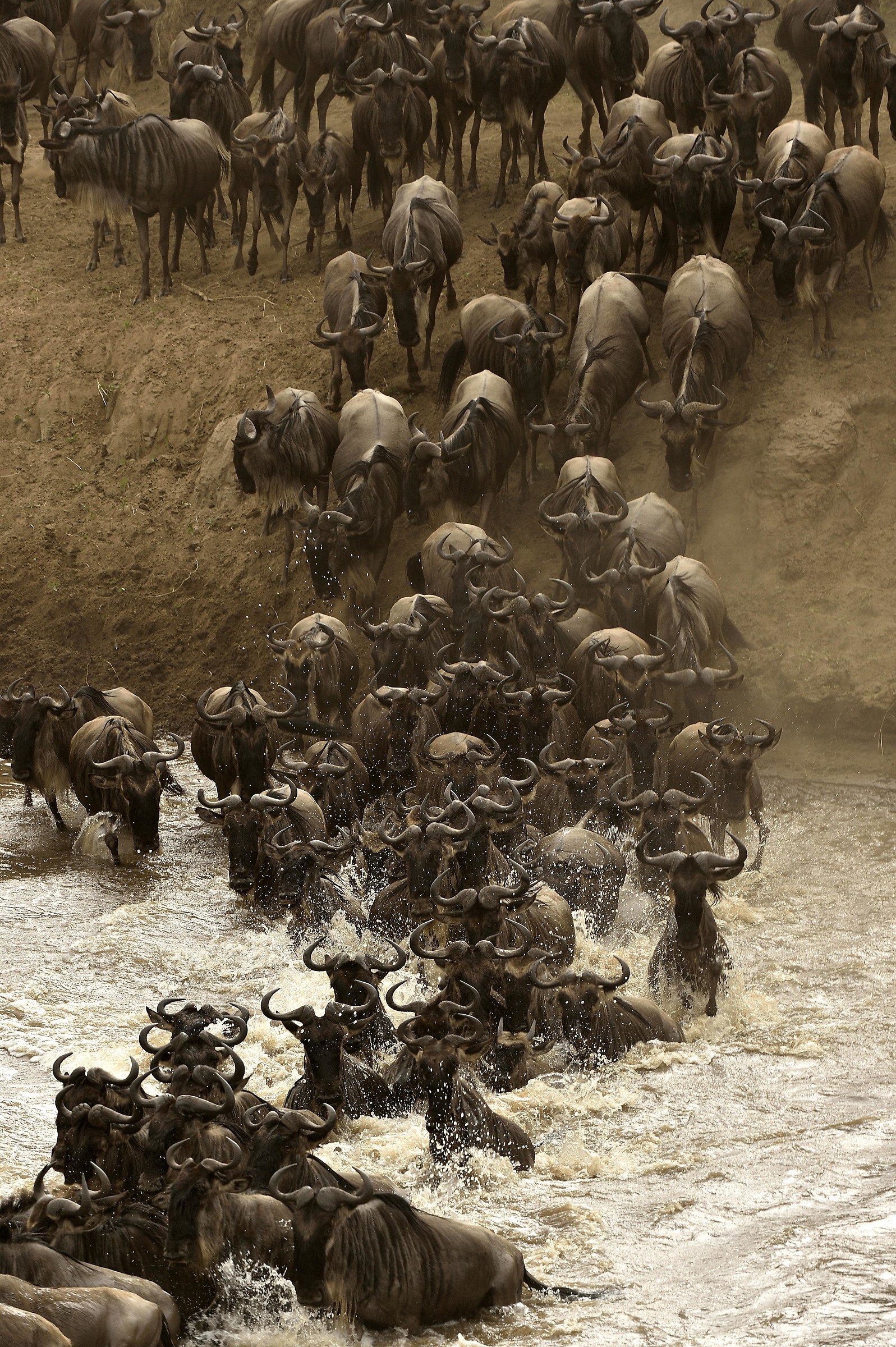 Kenya 2016: migration