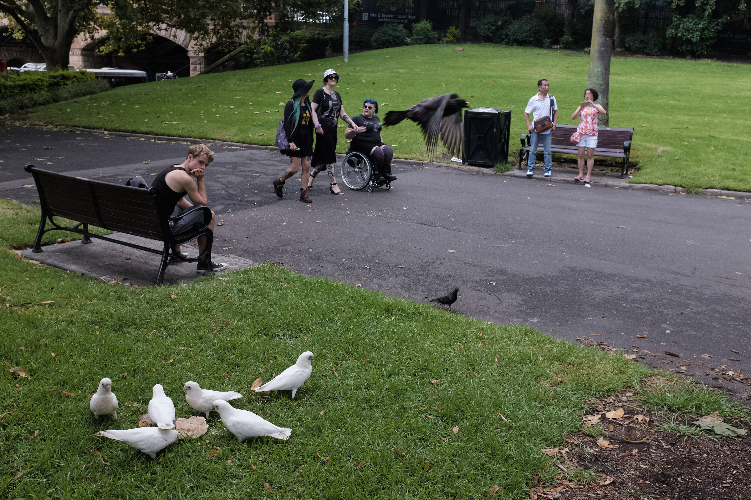 Belmore Park - Sydney - 2016