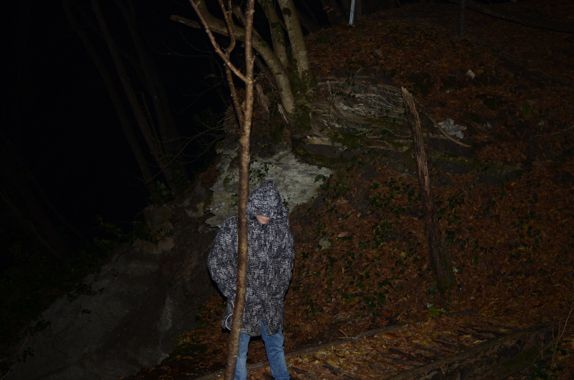 The guardian of the forest