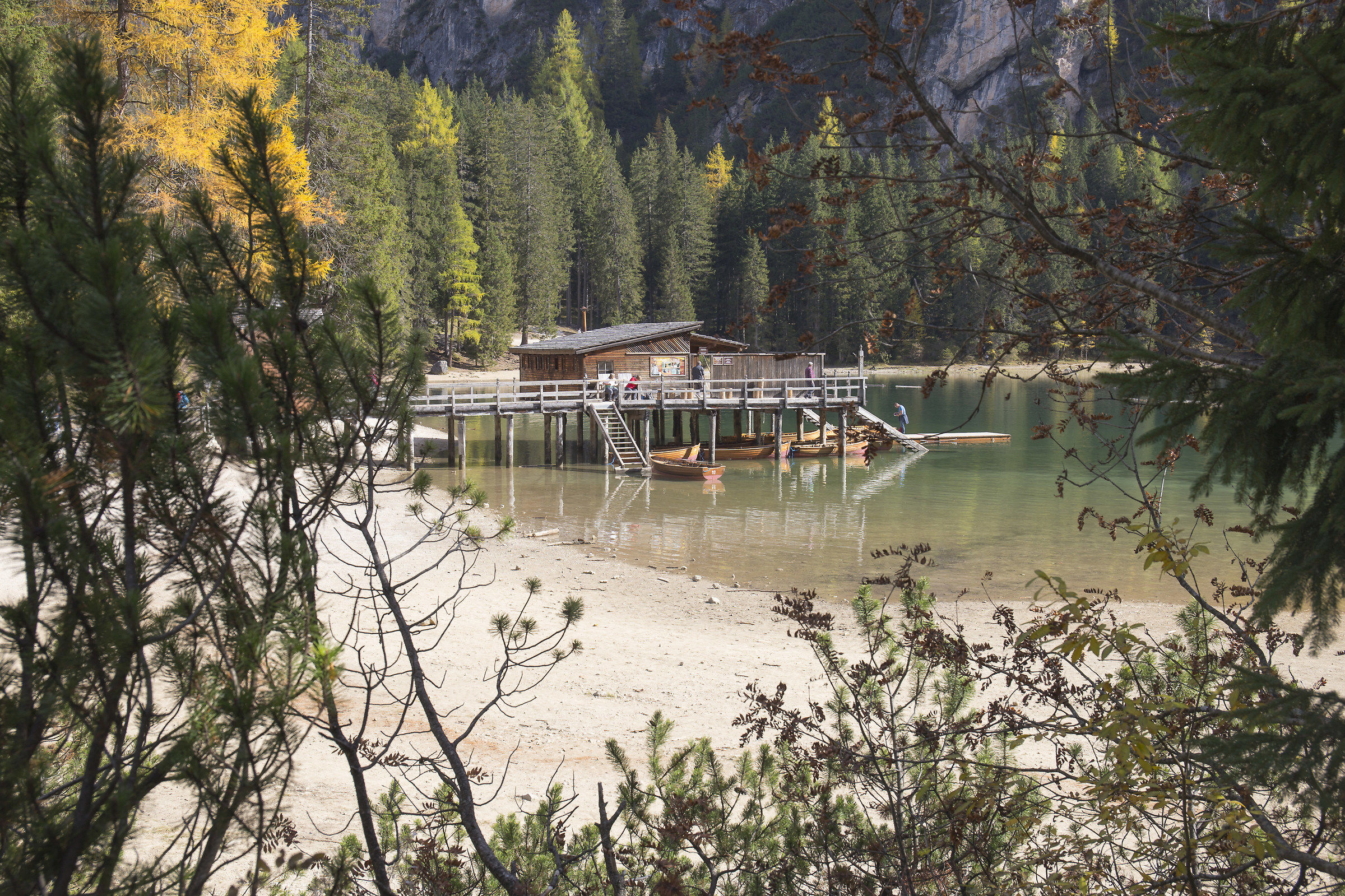 Palafitta among the branches