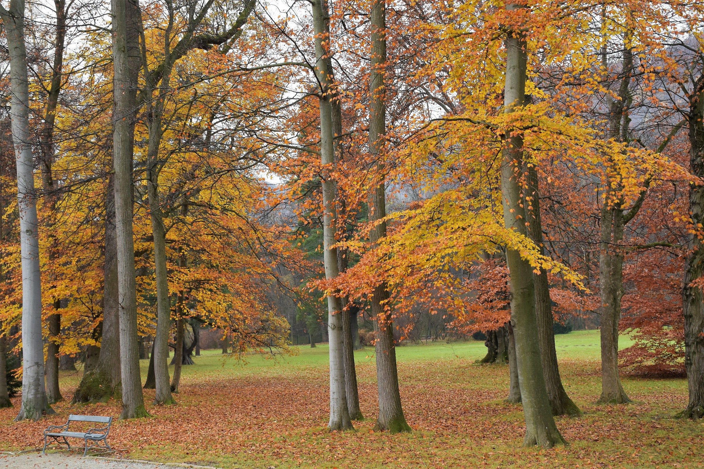 Garden Castel Eggenberg Graz Austria