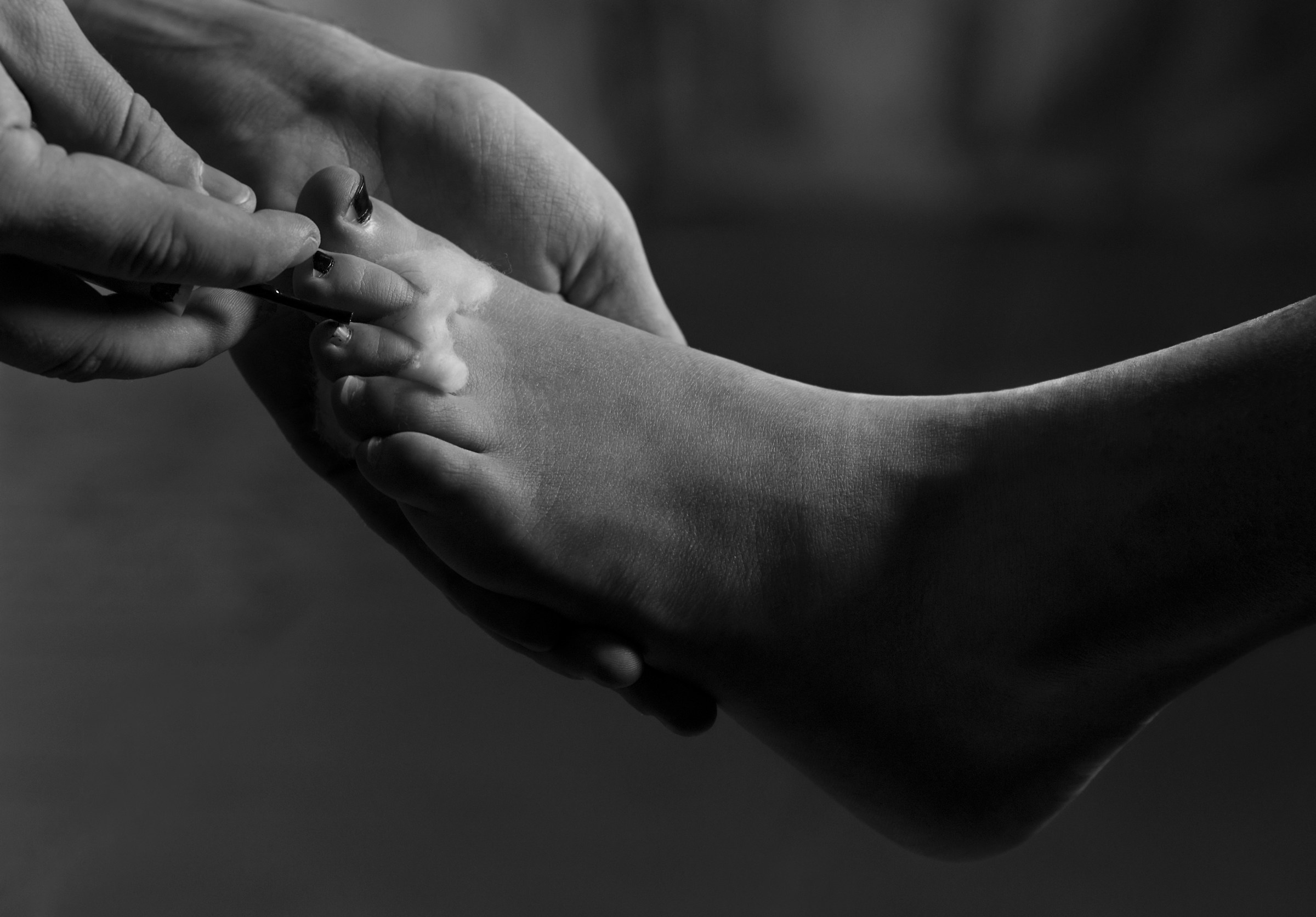 Stanley's Kubrick "Lolita" | Tribute