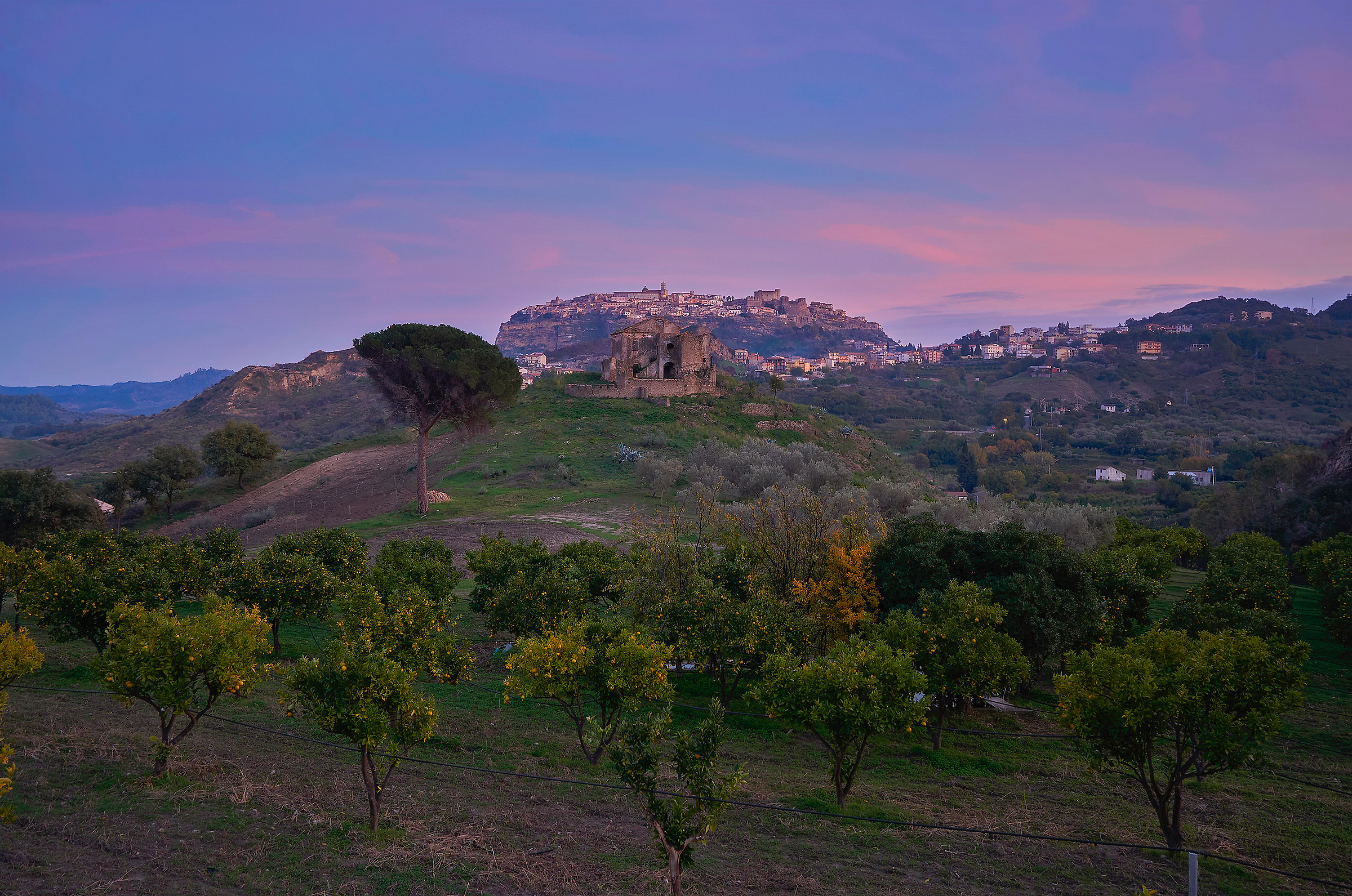 The tree and the abandoned house!