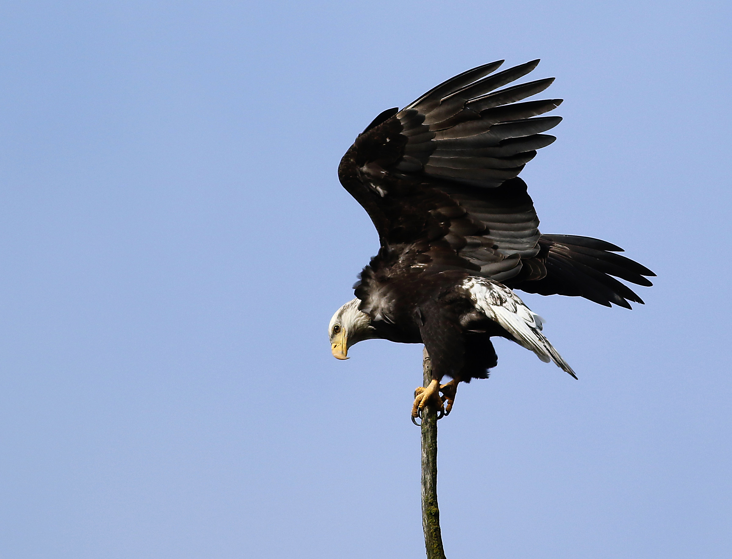 Immaturo, un altro sguardo.