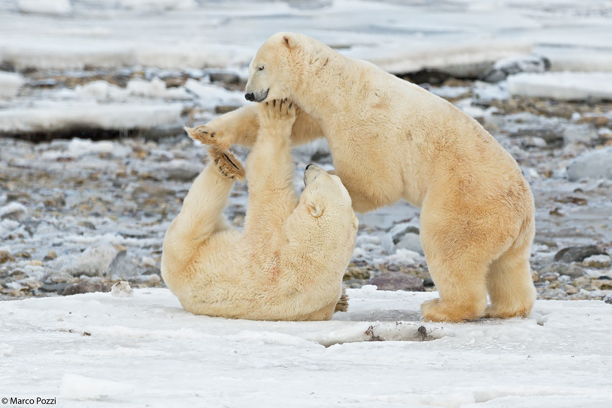 Games between giants