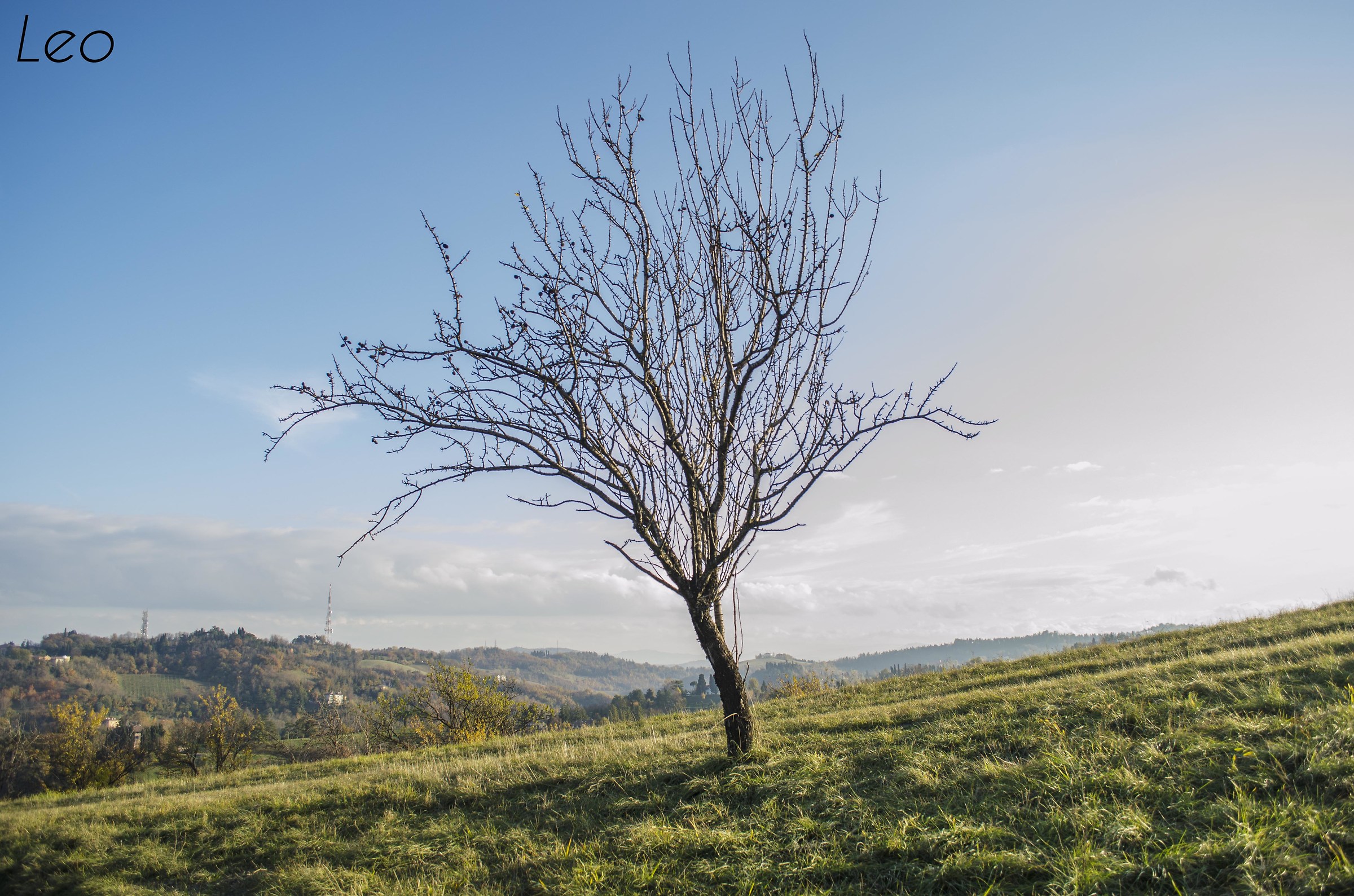 Villa Ghigi, Bologna
