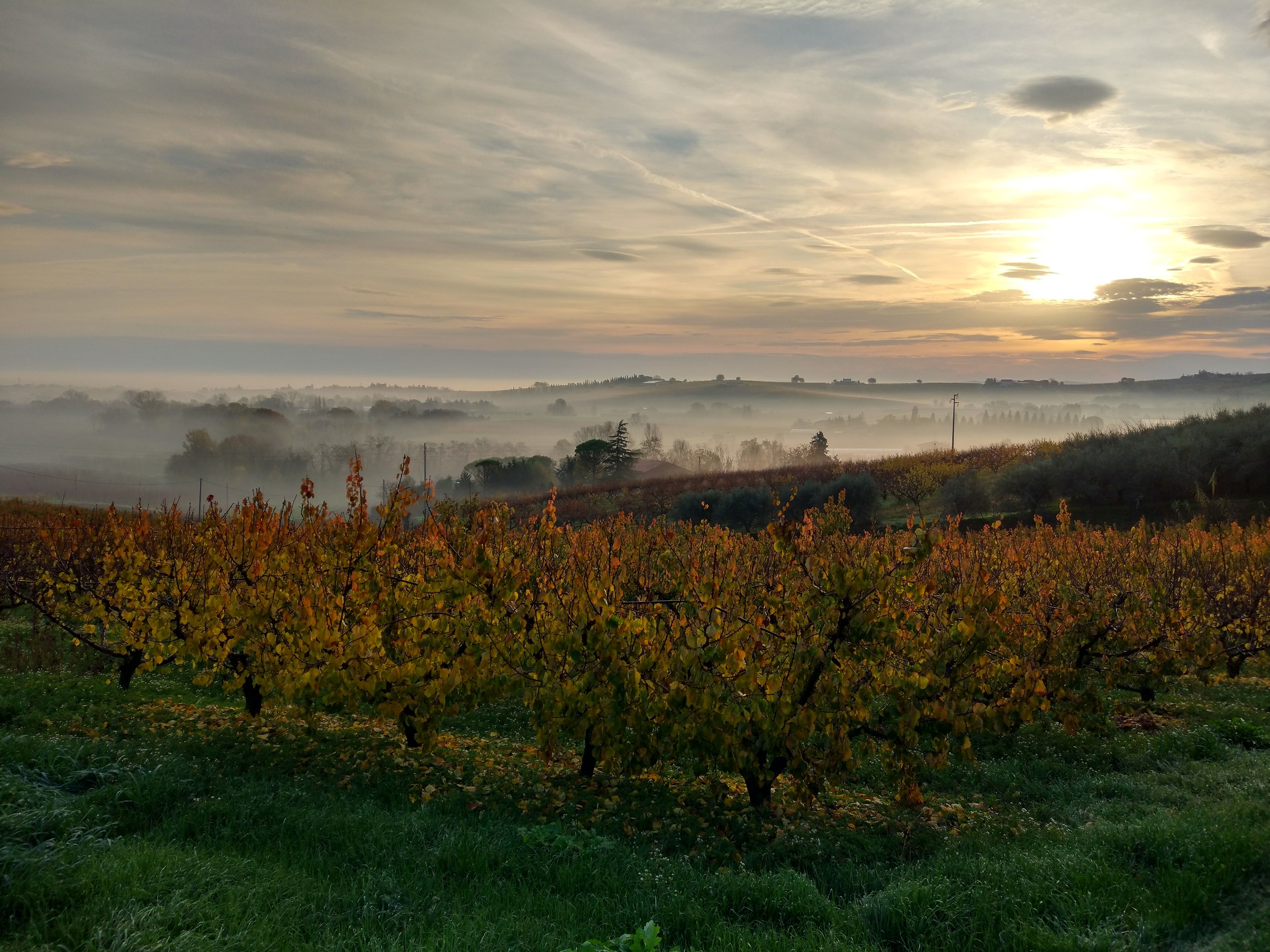 Andando al lavoro...