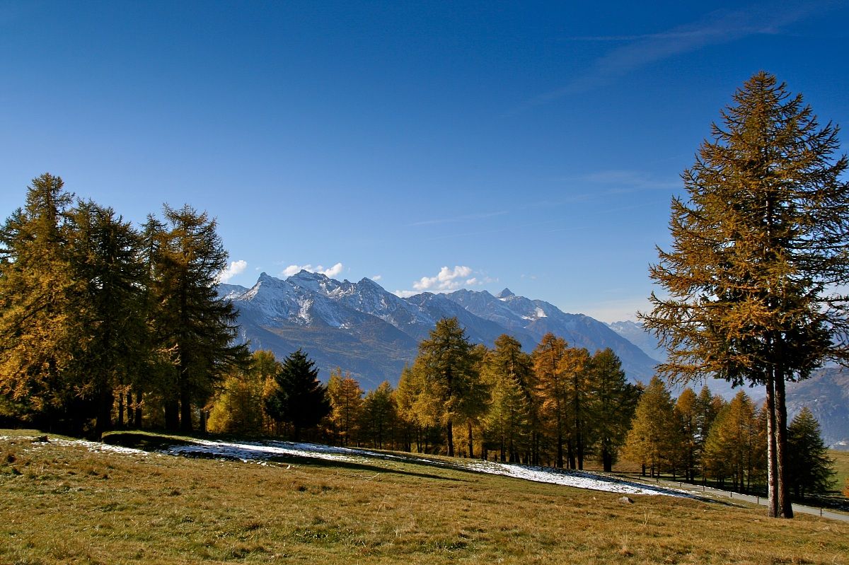 Col de joux