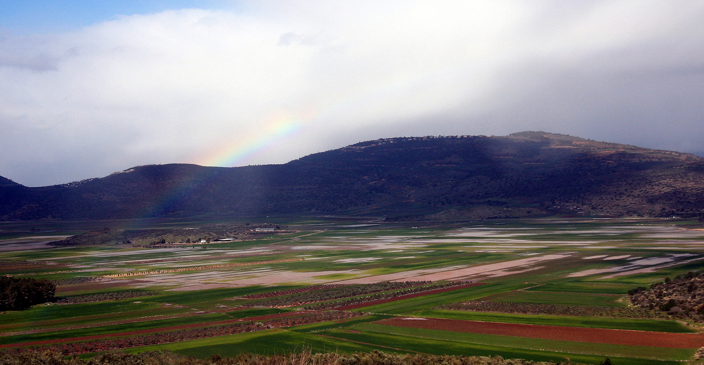 4554-Alta Galilee-Kfar Hananya