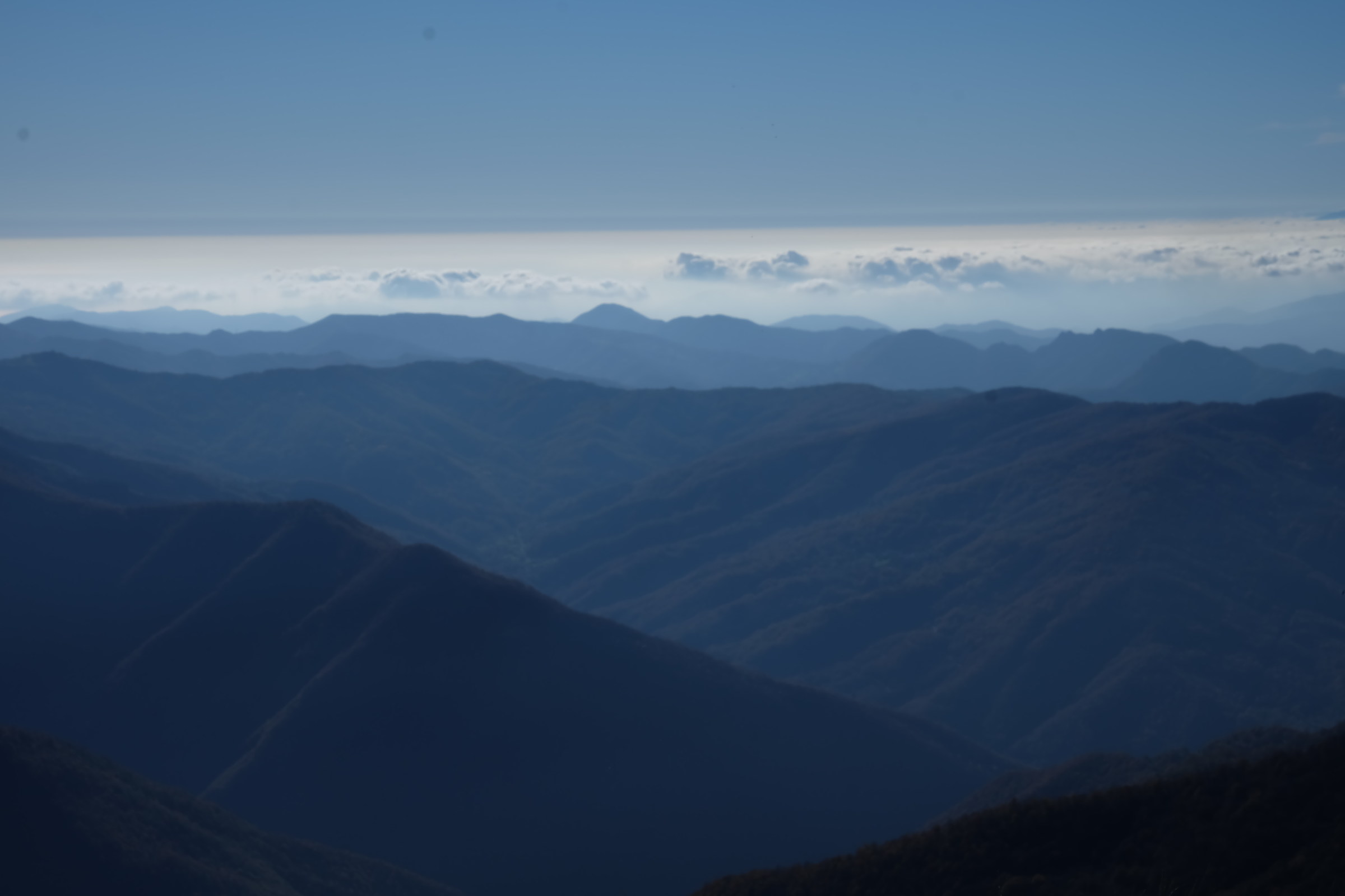 Look far ... look farther