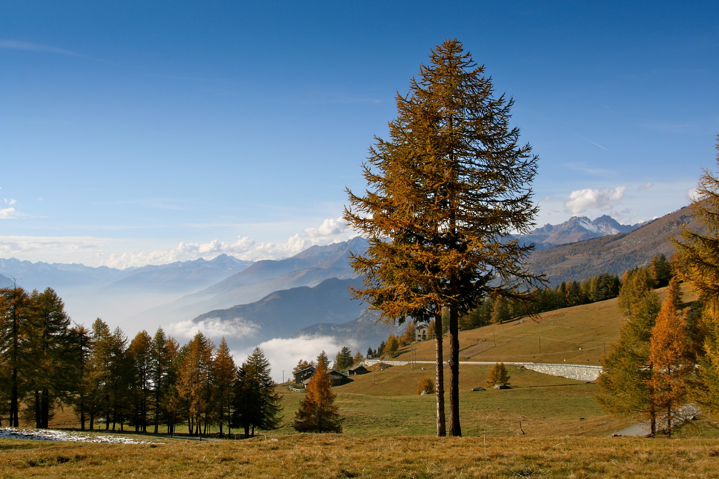 Col de joux