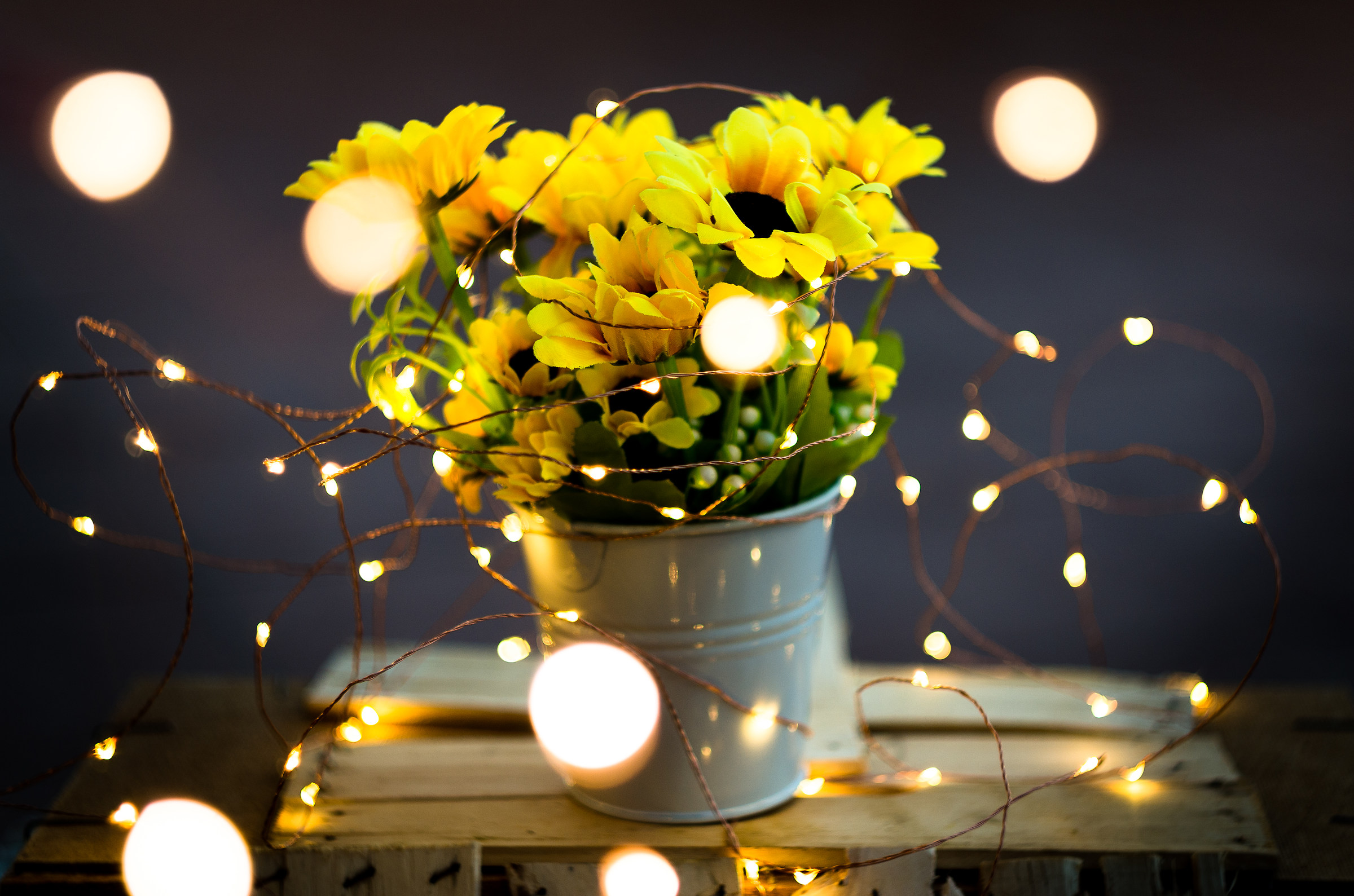 Flowers and light bulbs