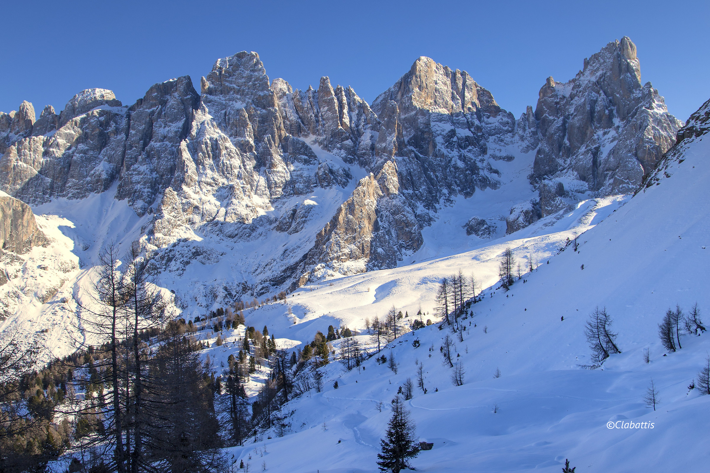 first snow on the blades