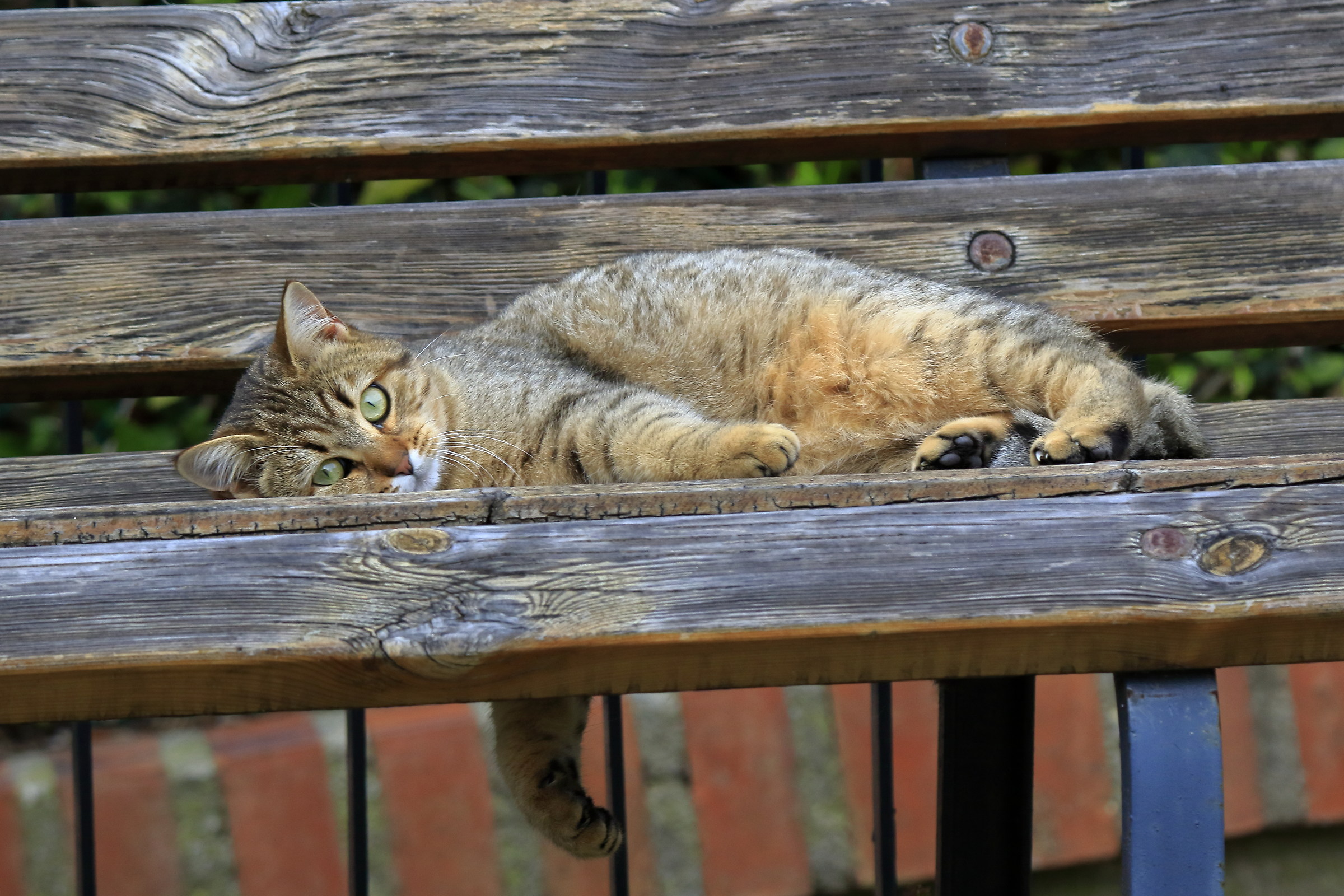 She is the most furious