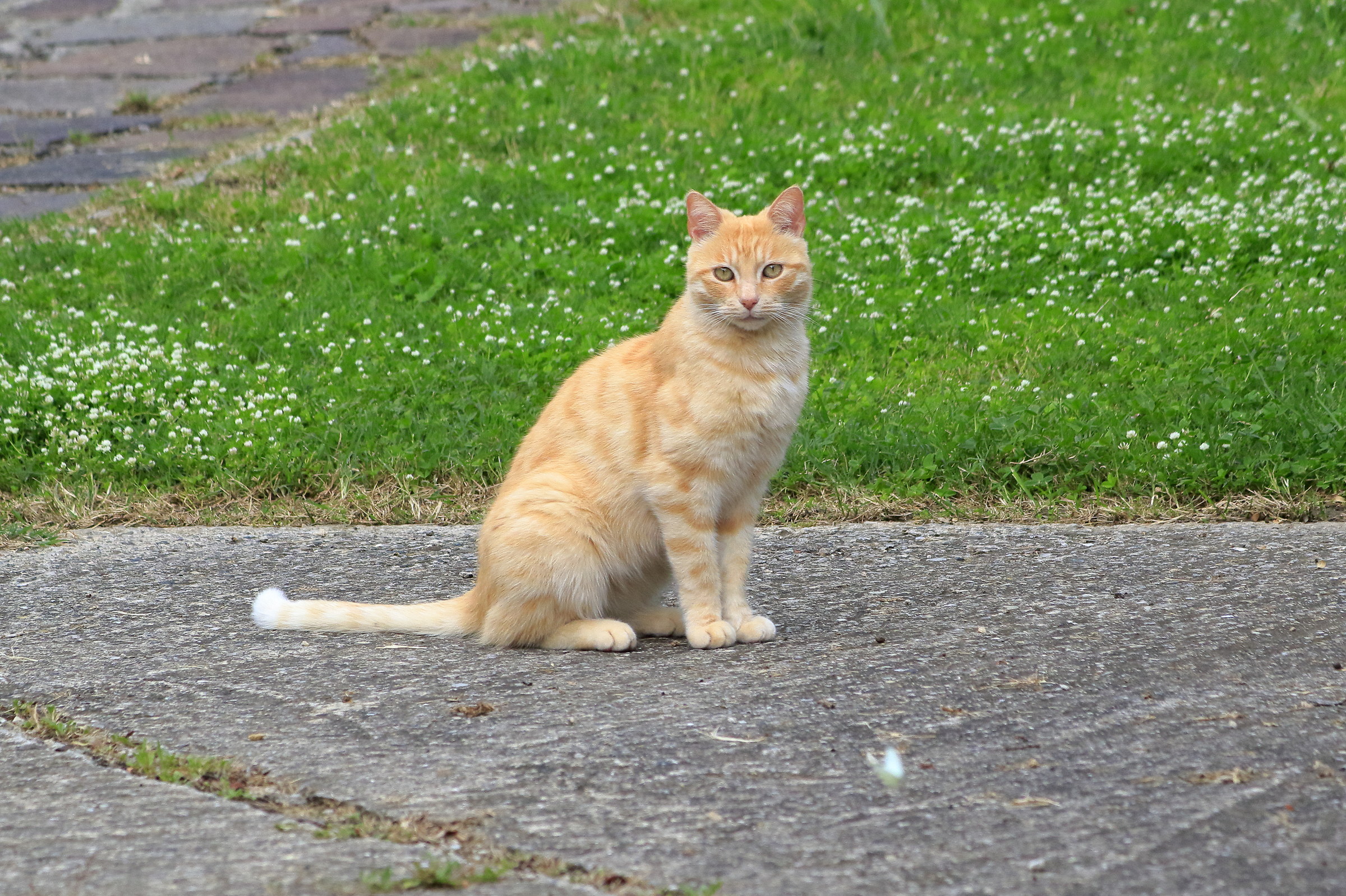 He was a 'gentleman', a great hunter