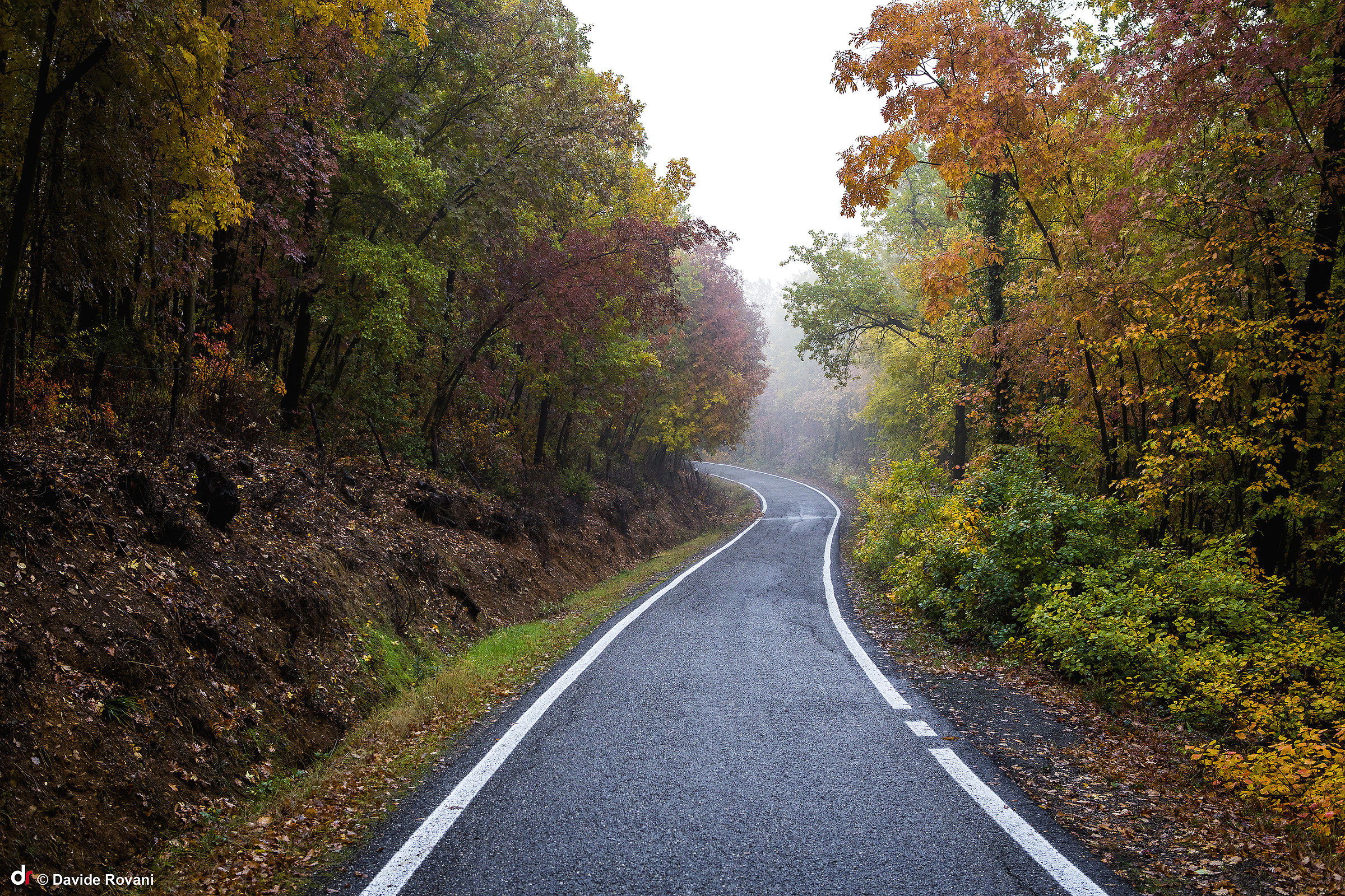 Autumn, hills of Piacenza