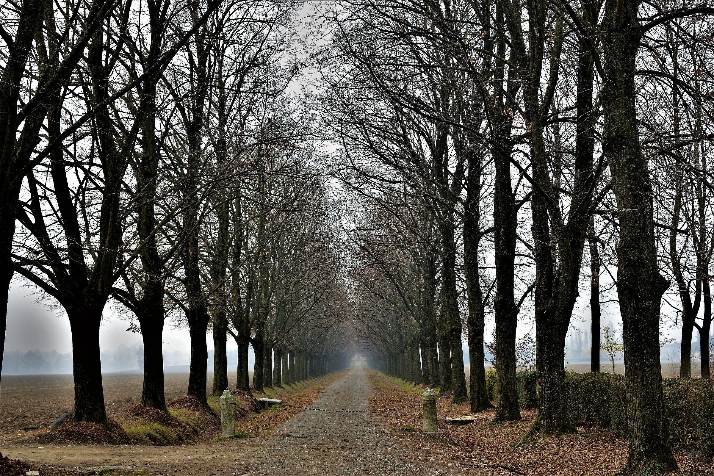 viale di villa tavernago pc