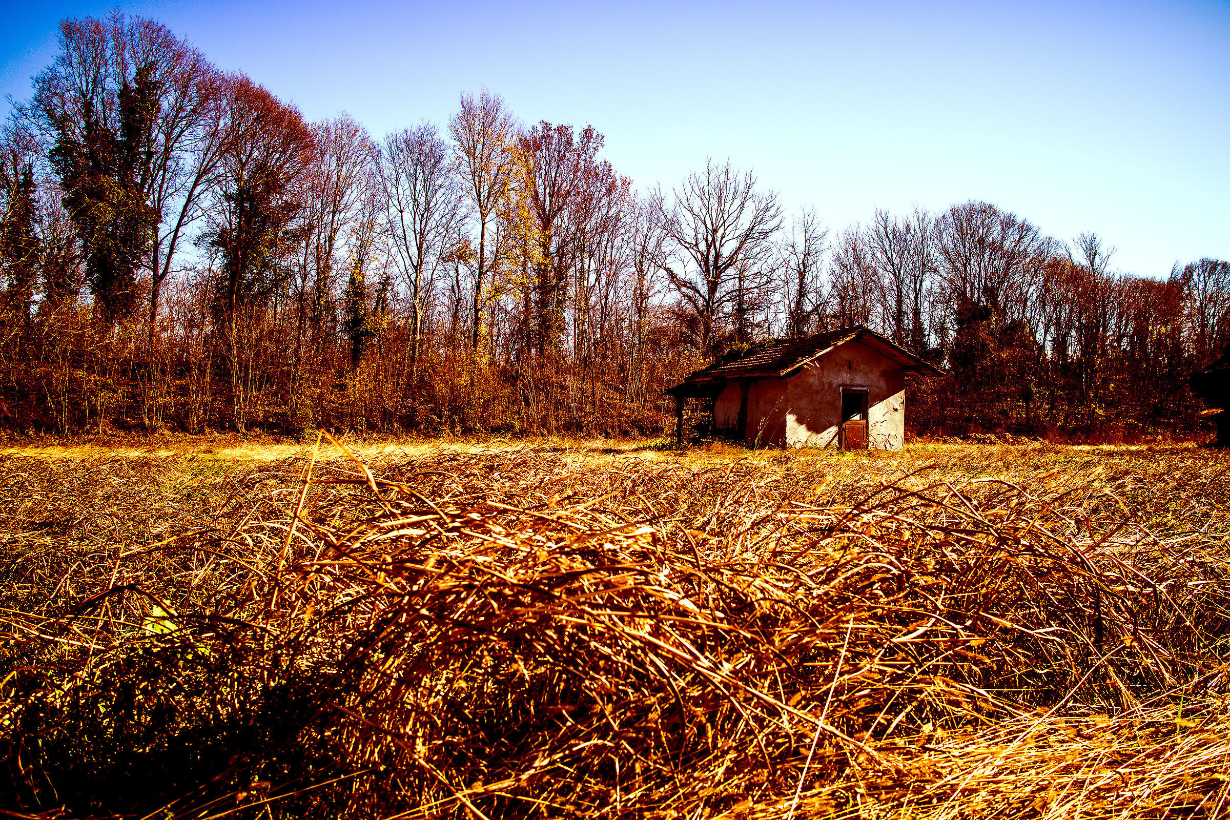 the house on the prairie