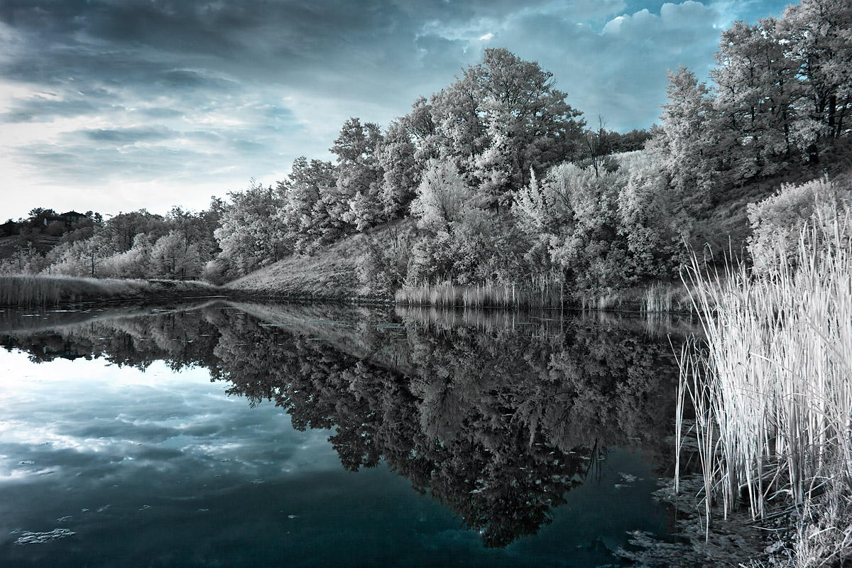 Riflessi di ghiaccio