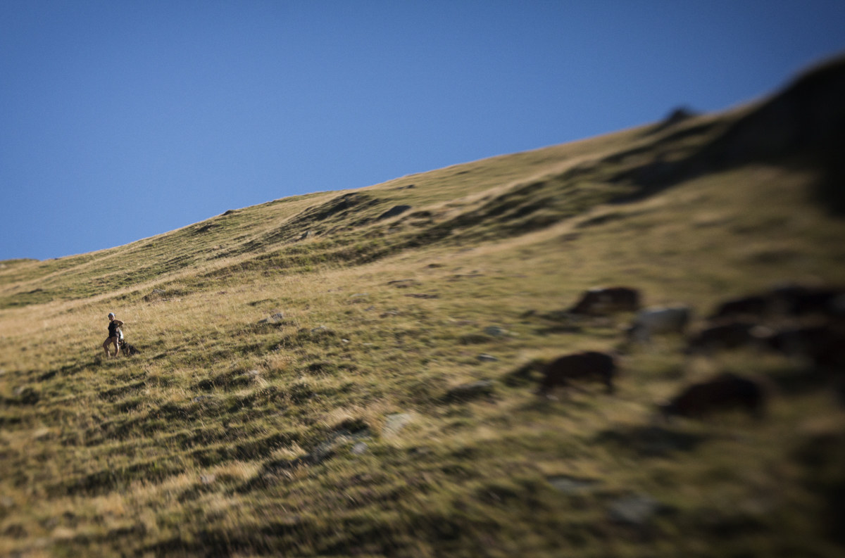 Come in volo sul pascolo